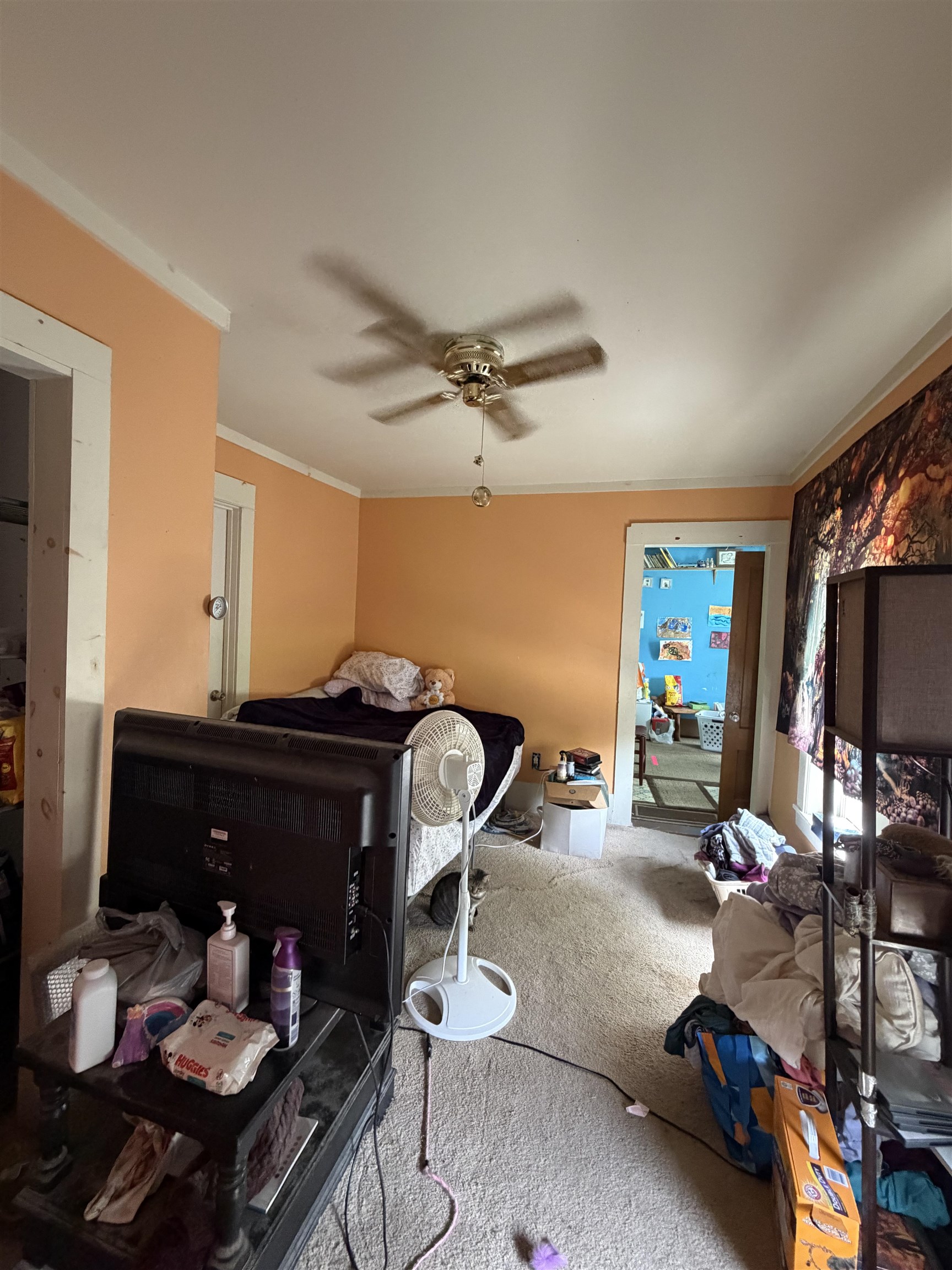 main property photo 19