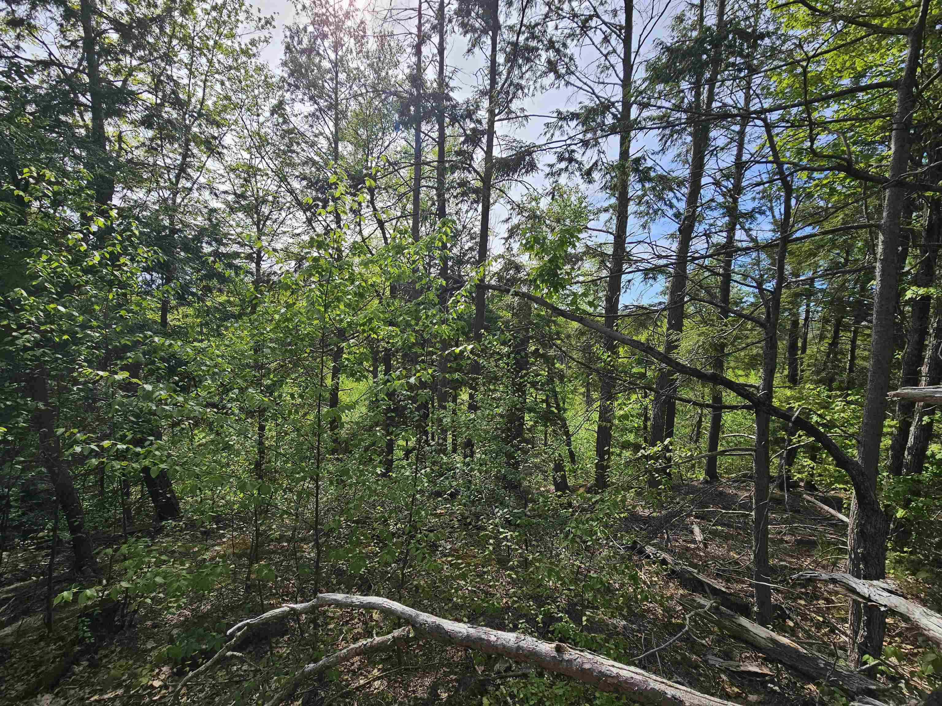 main property photo 19