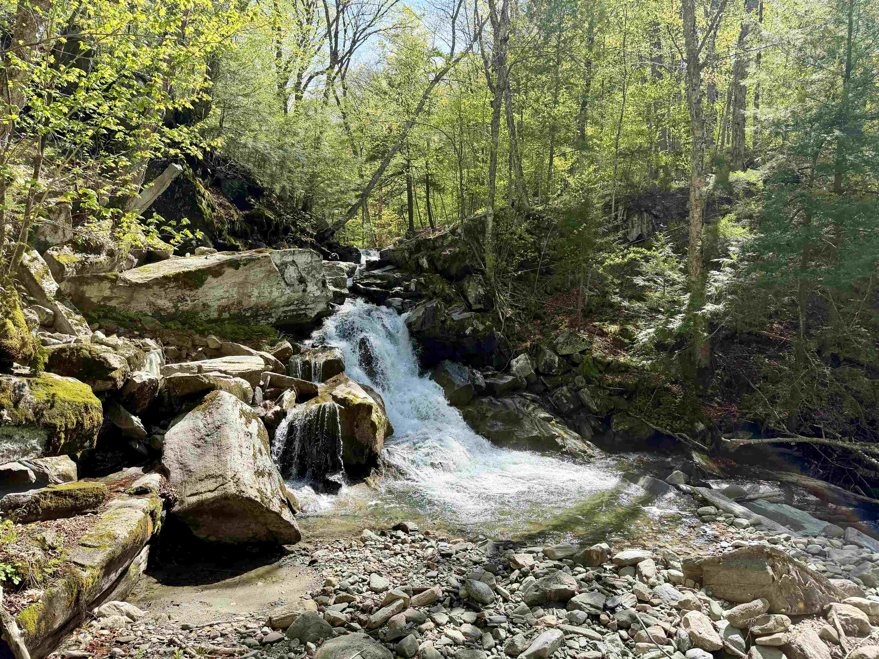 main property photo 43