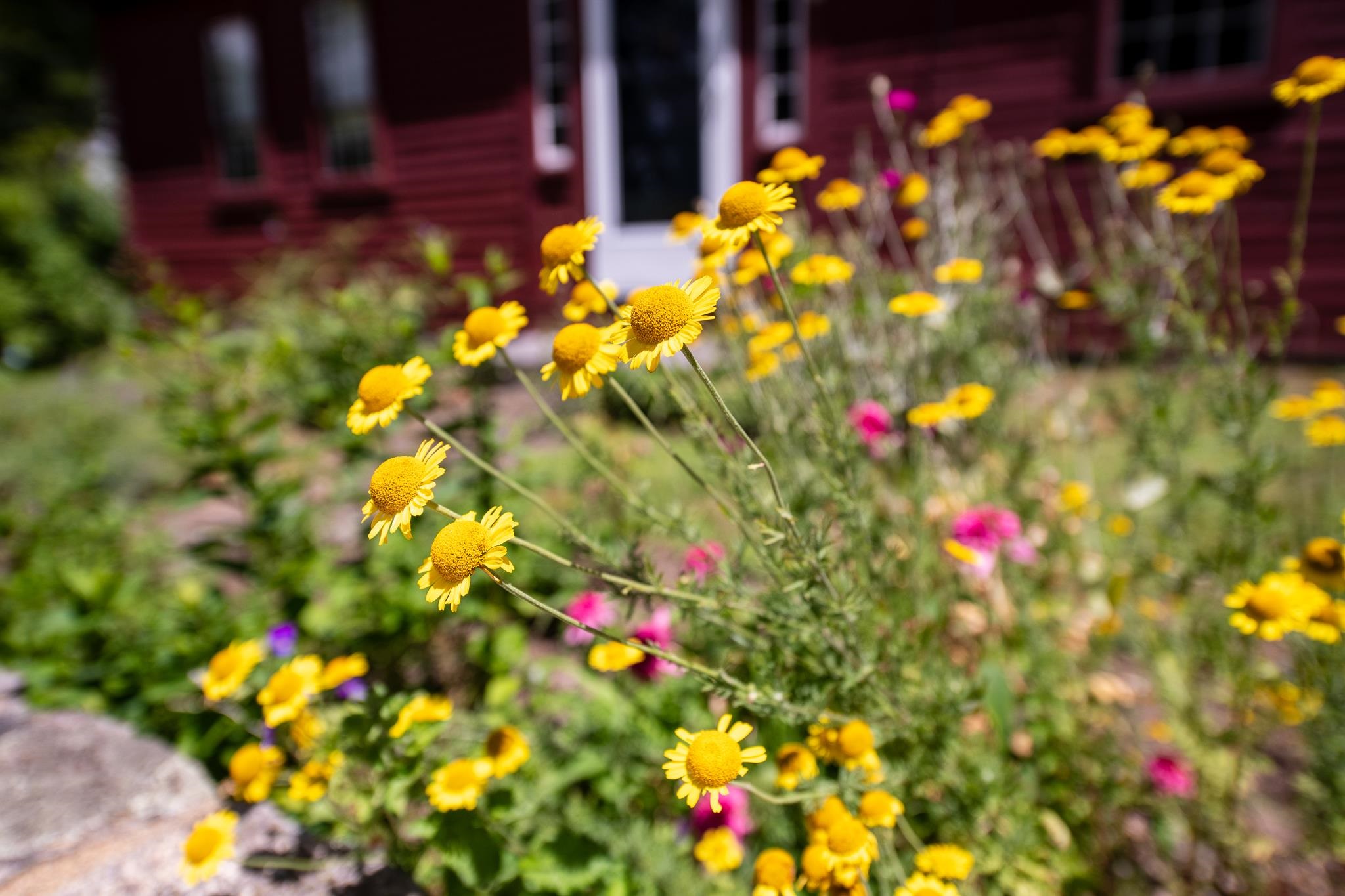 main property photo 39