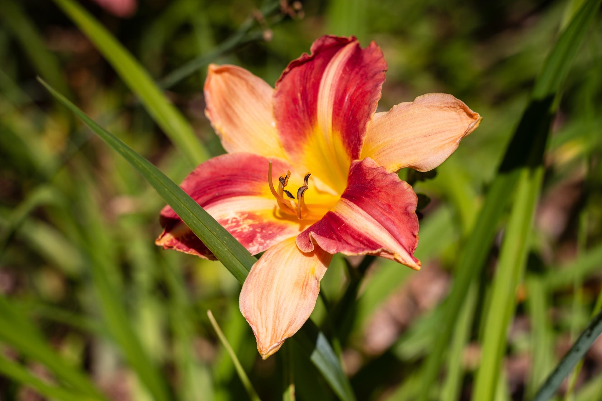 main property photo 45