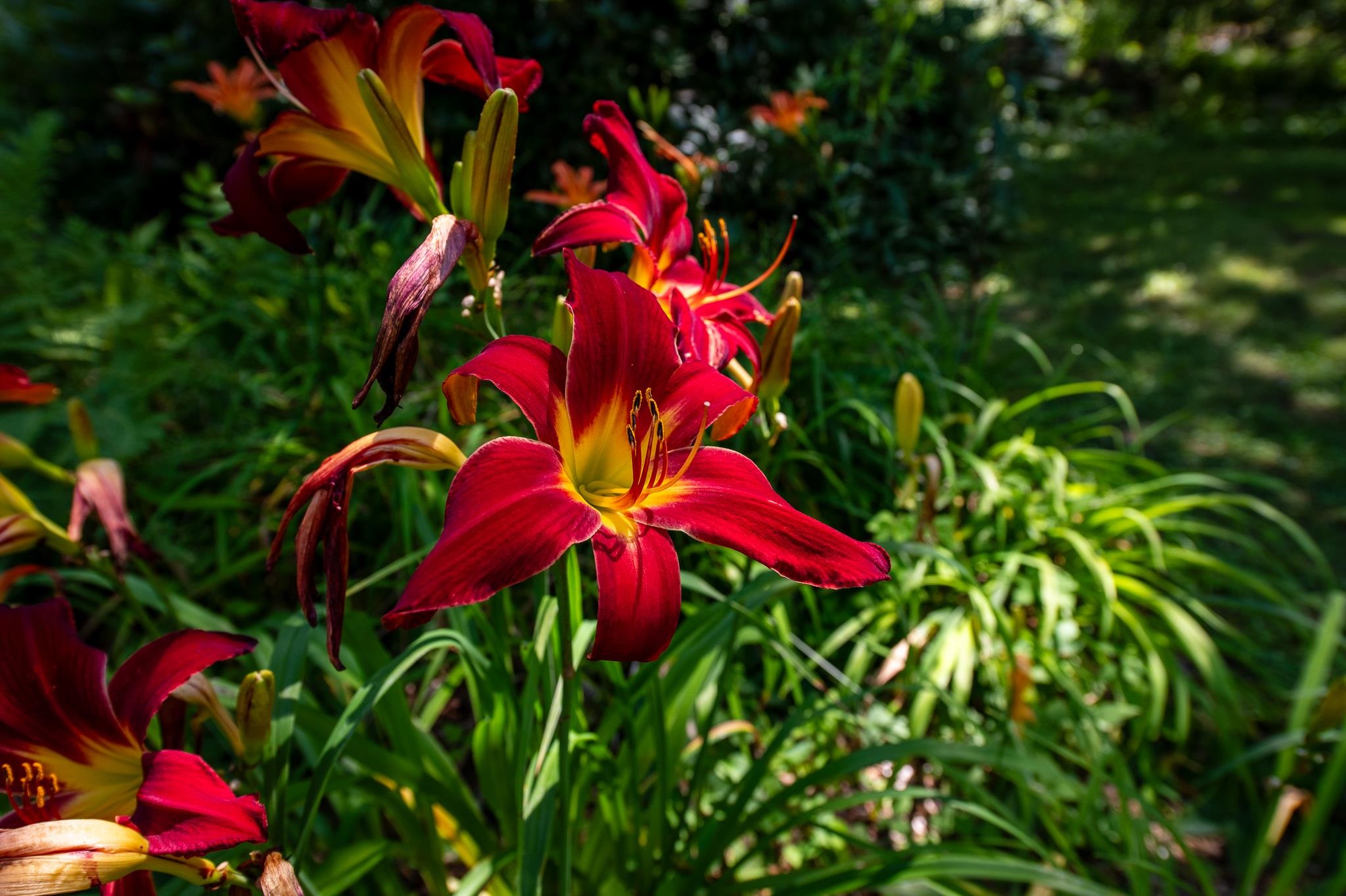 main property photo 46