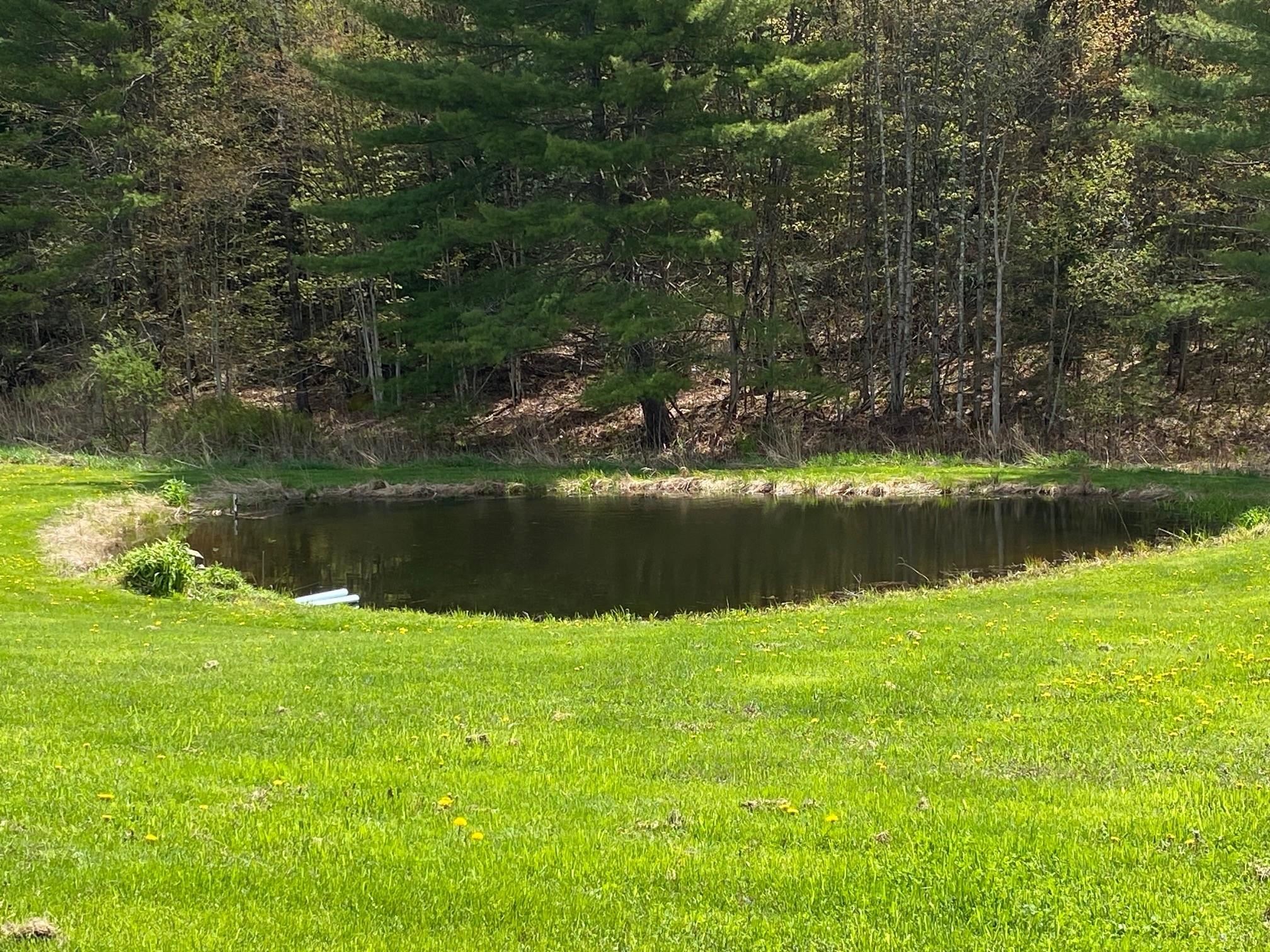 main property photo 53