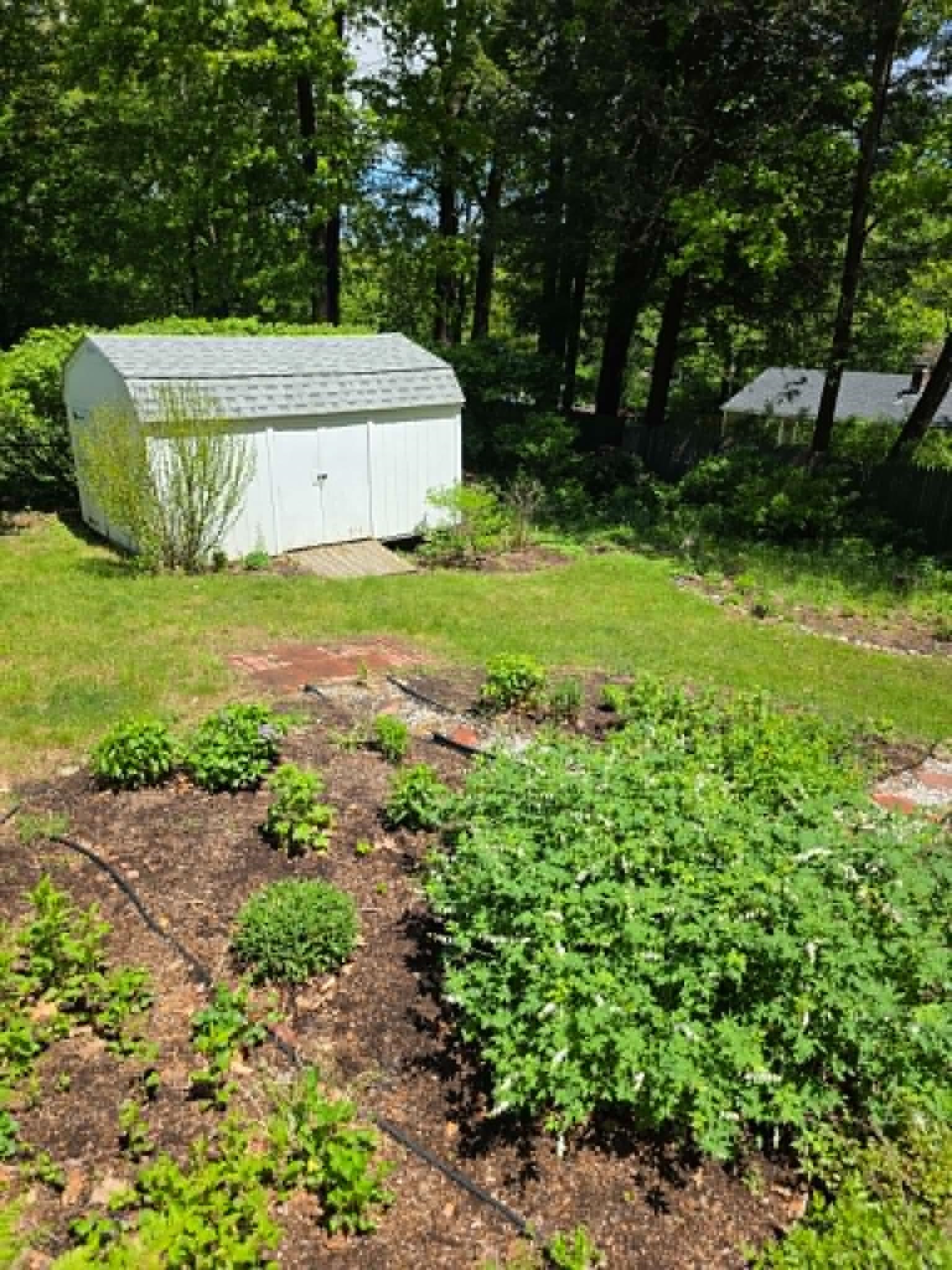 main property photo 41