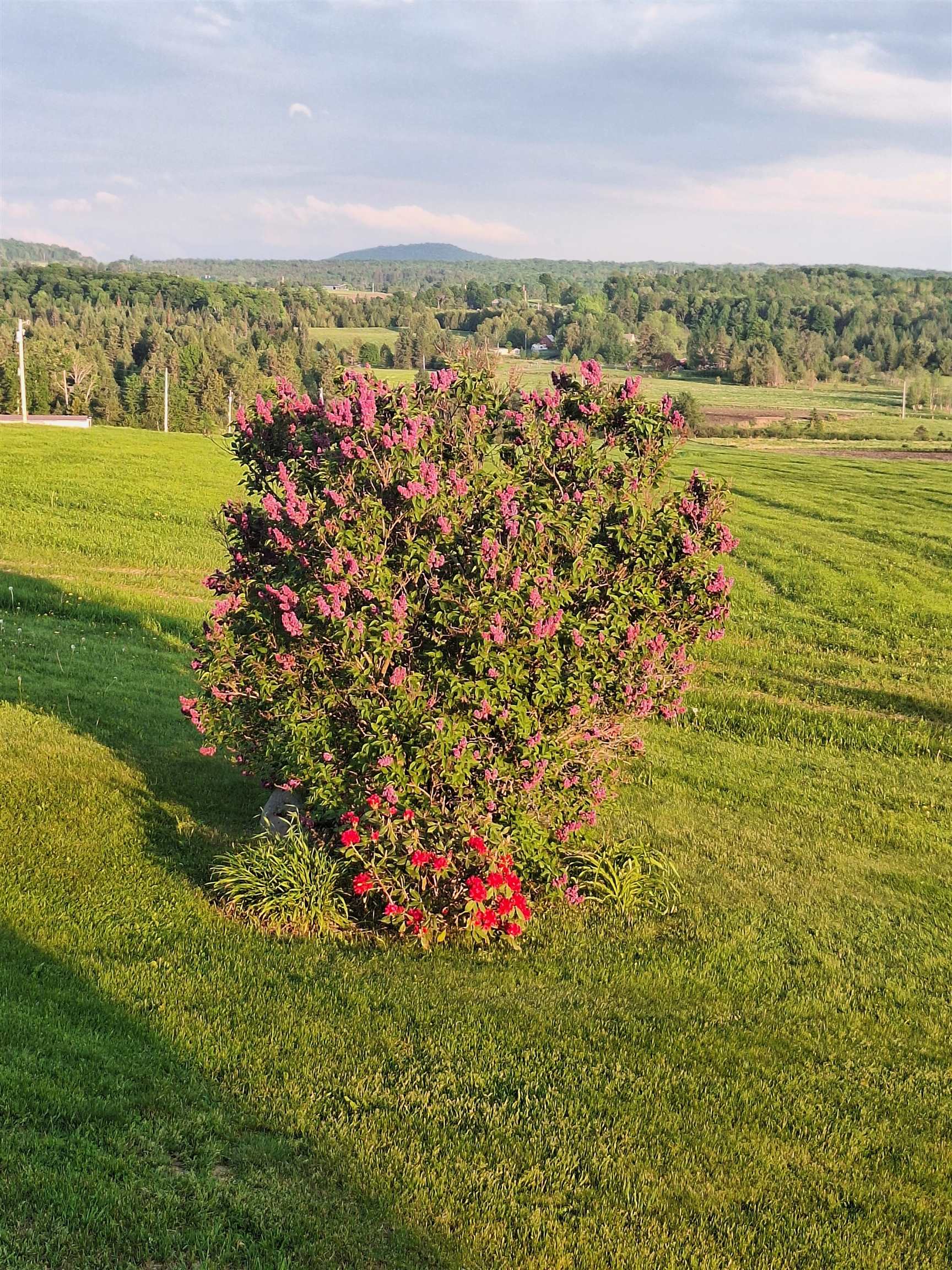 main property photo 59