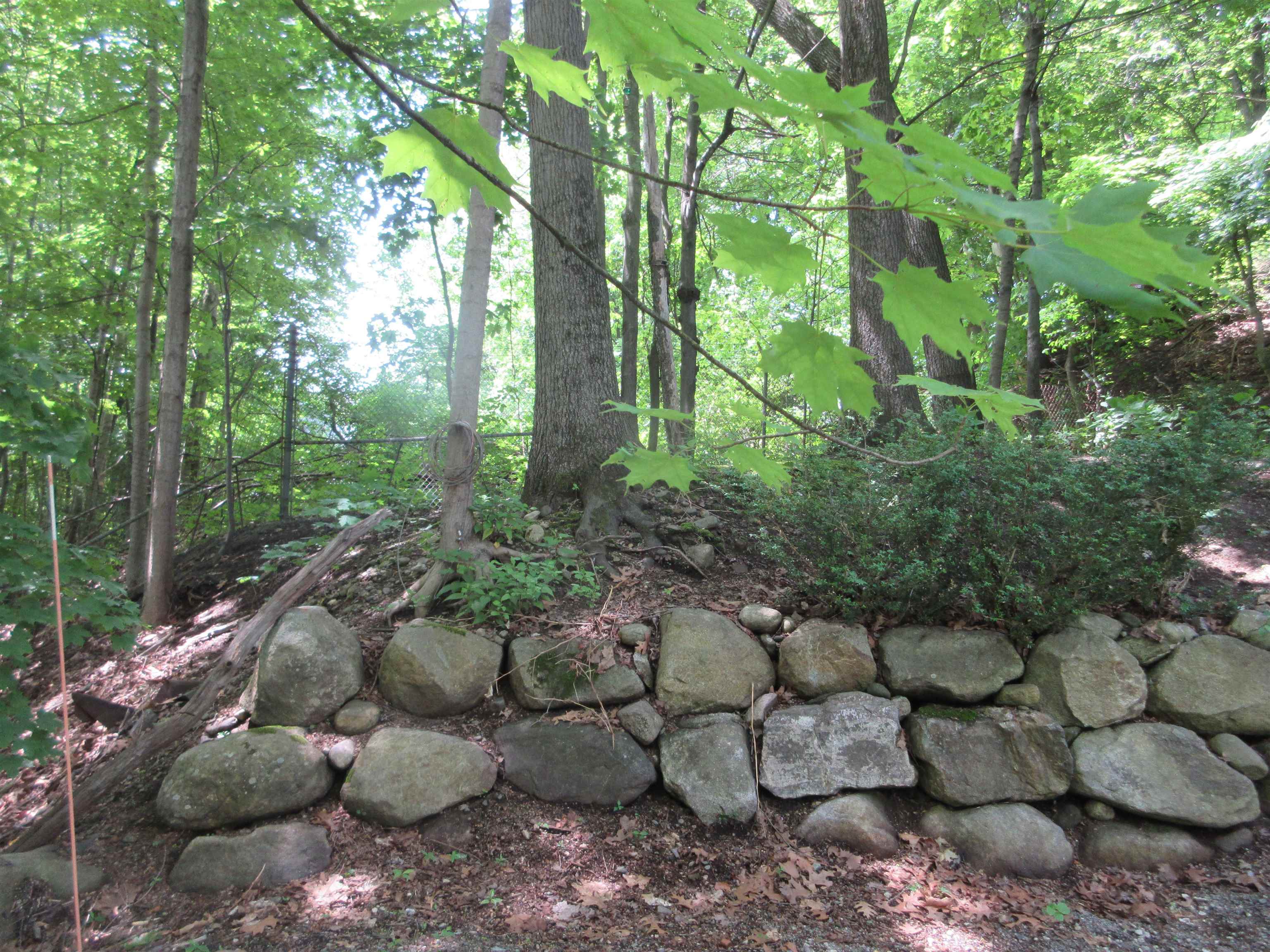 main property photo 58