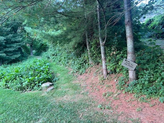 main property photo 25
