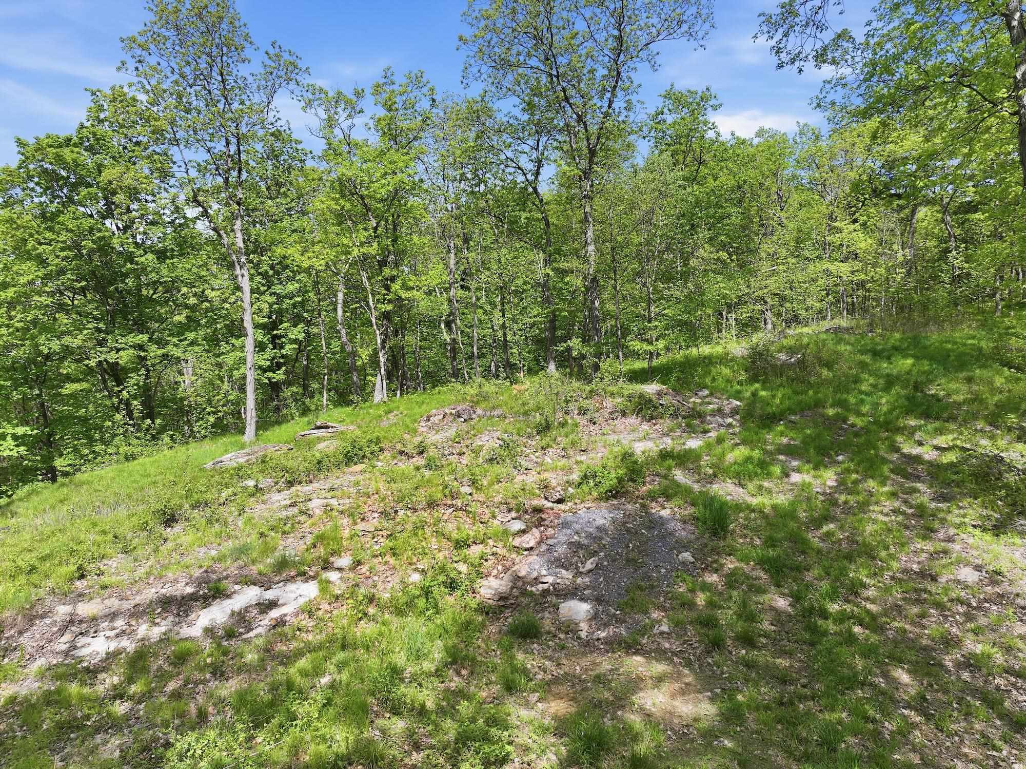 main property photo 23