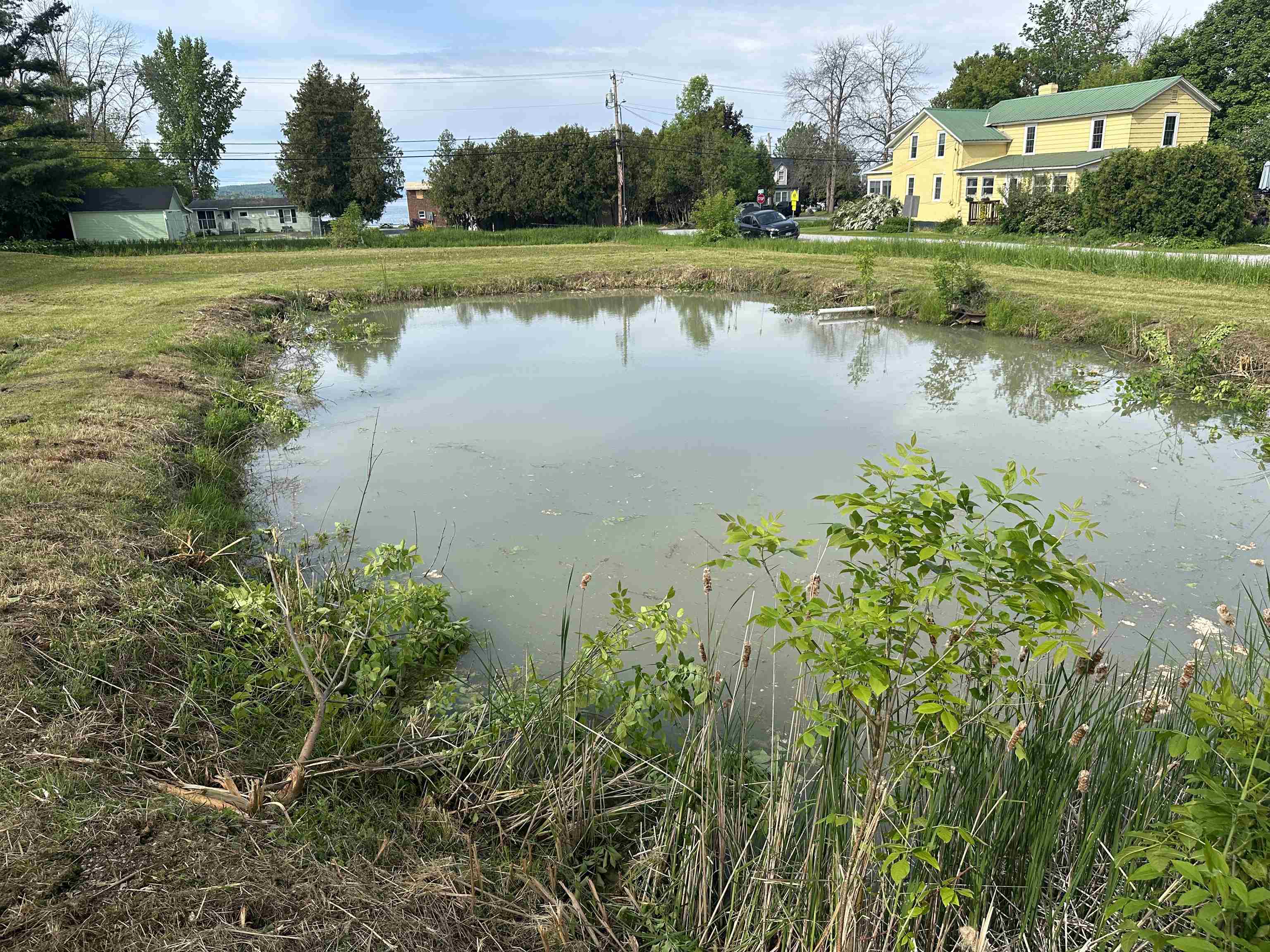 main property photo 15