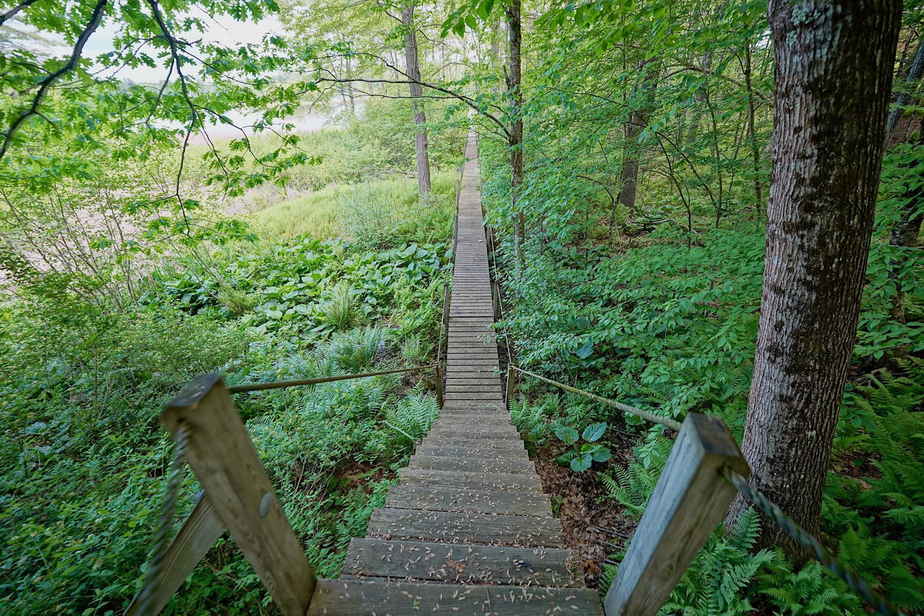main property photo 34