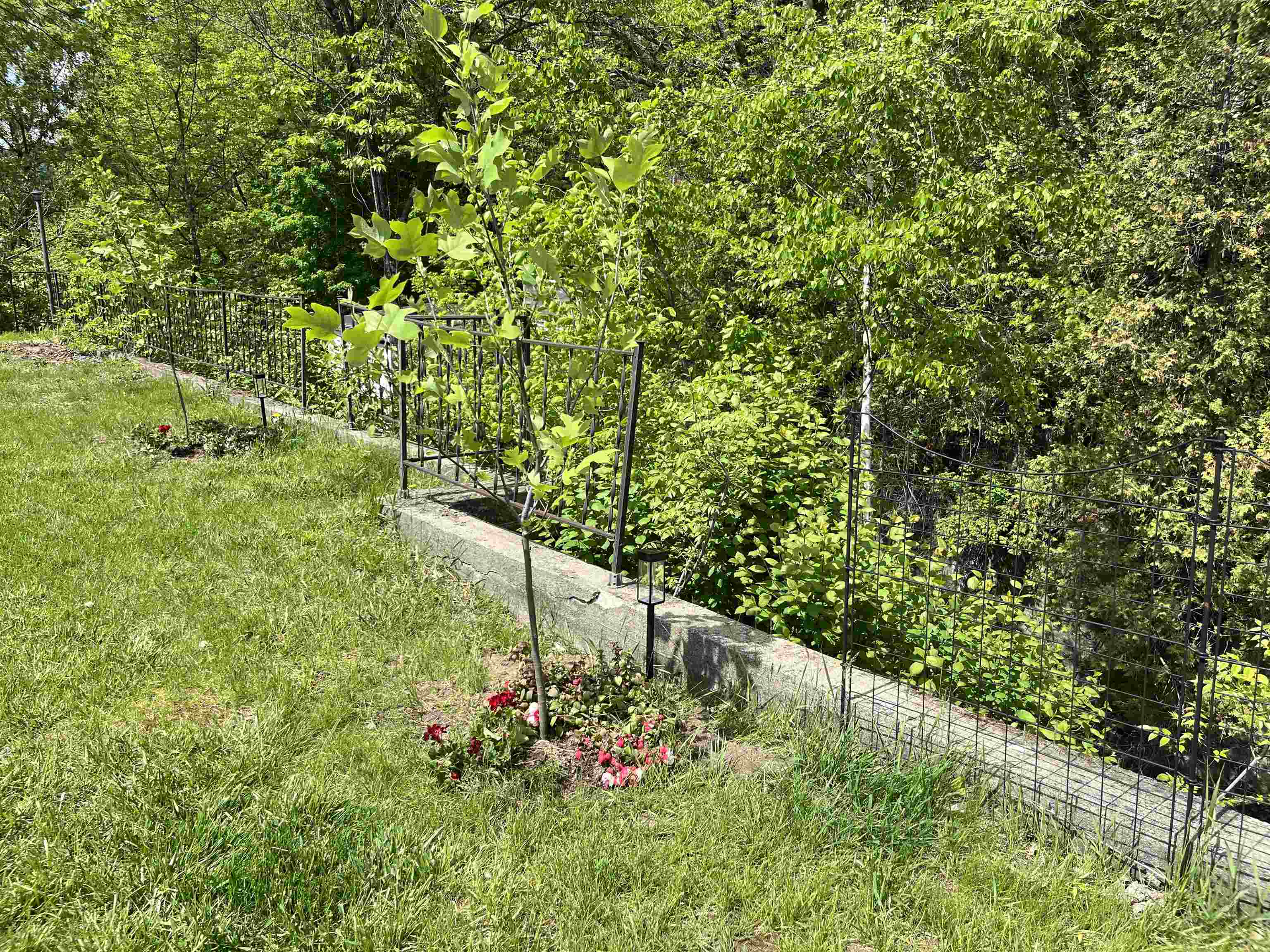 main property photo 53