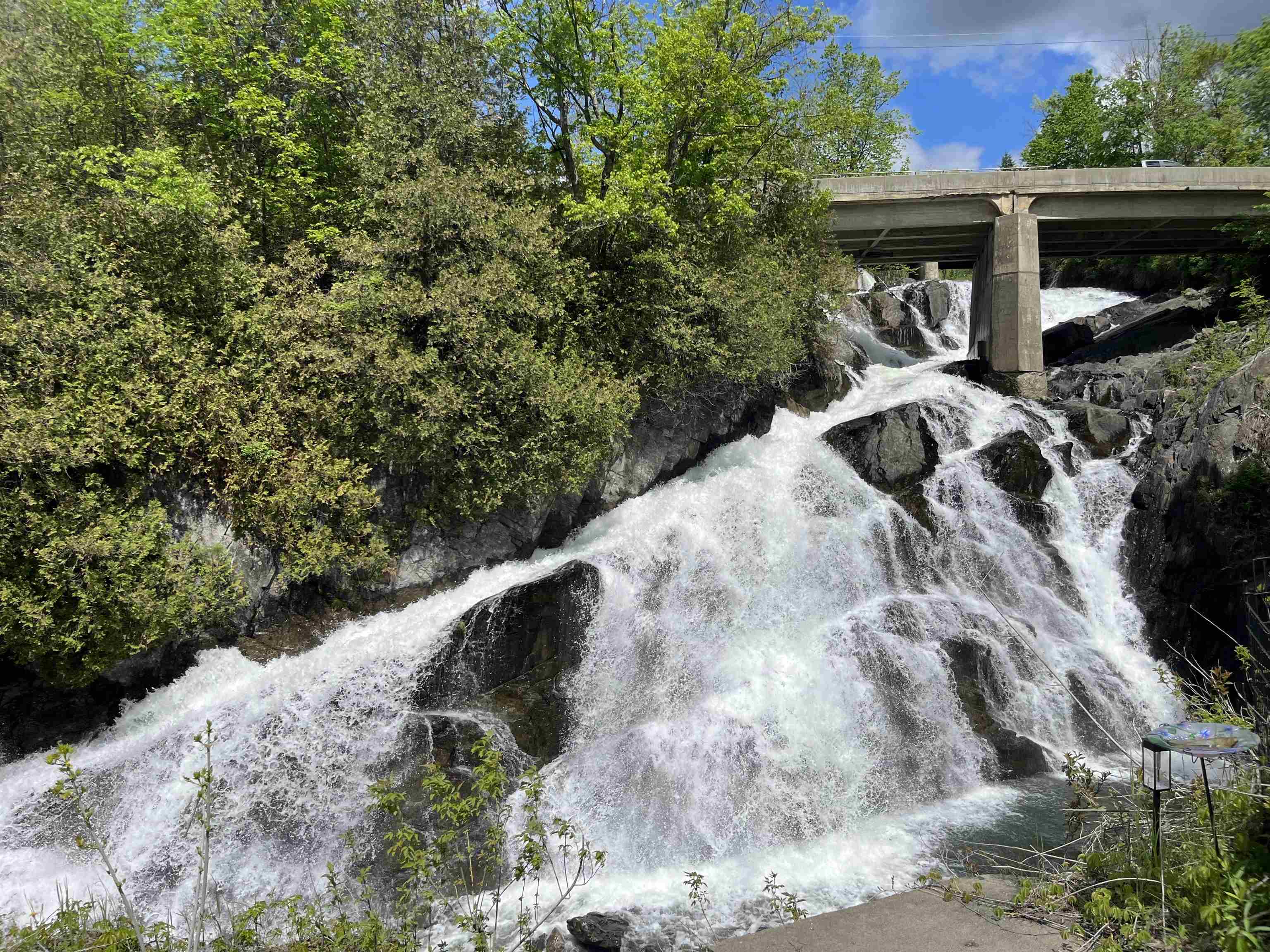 main property photo 54
