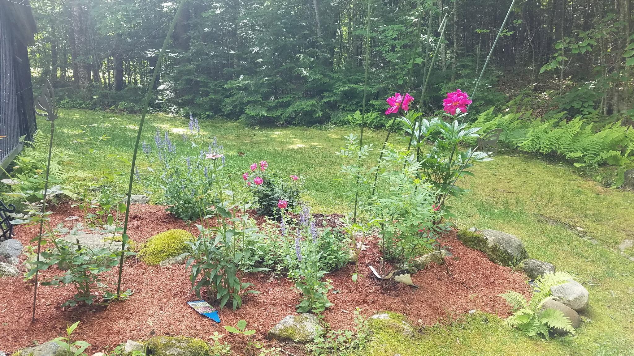 main property photo 48