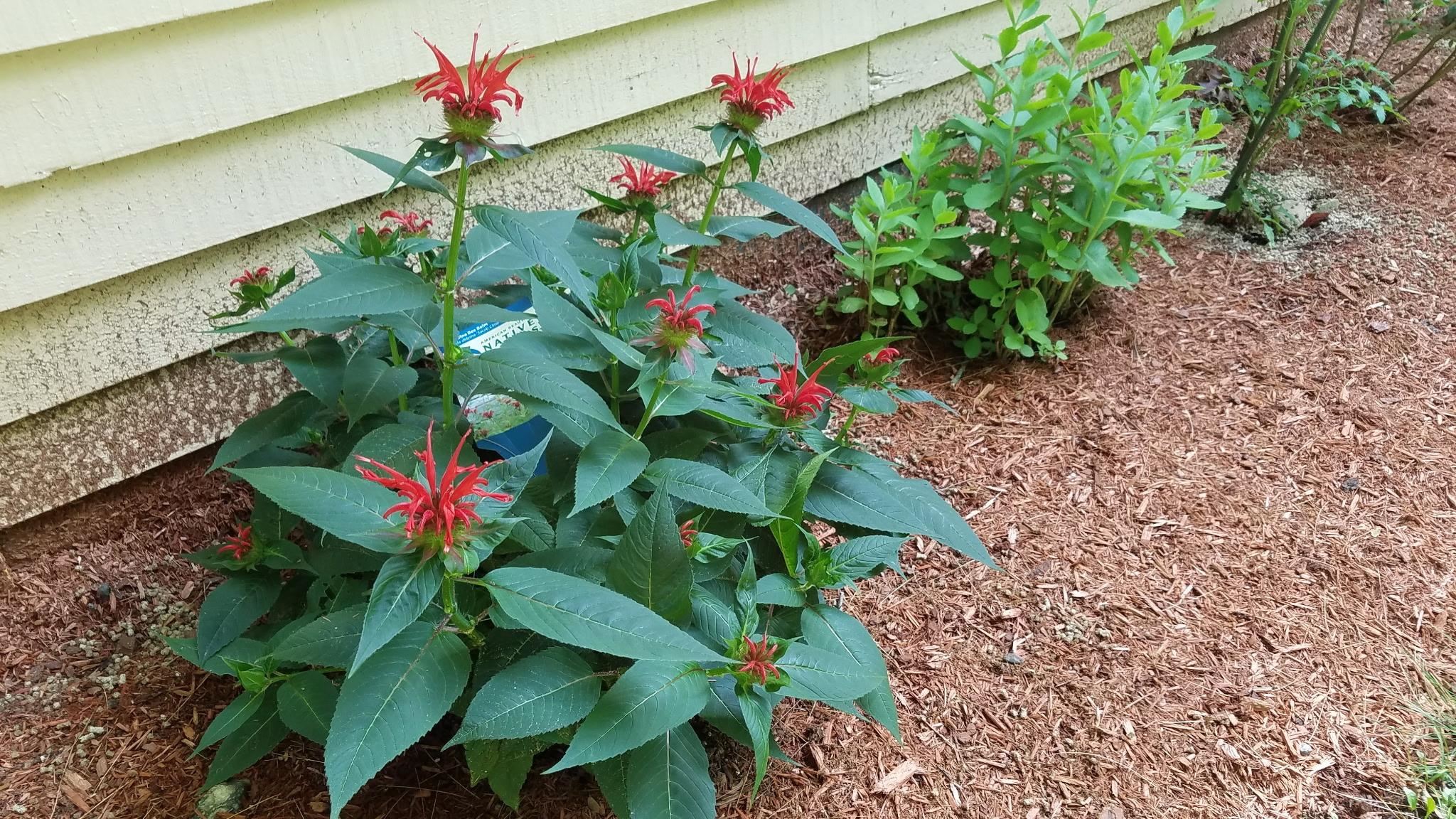 main property photo 49
