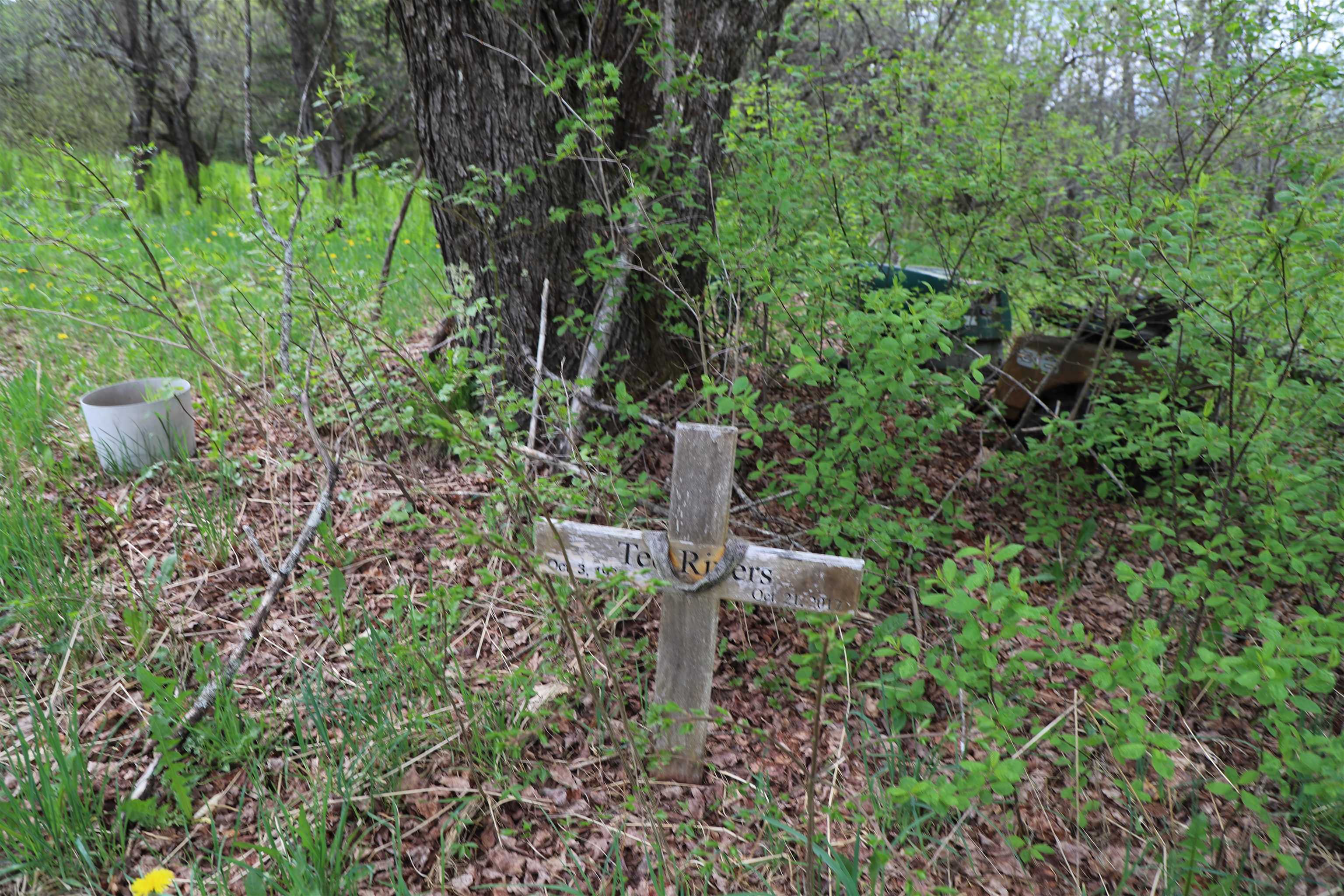 main property photo 38