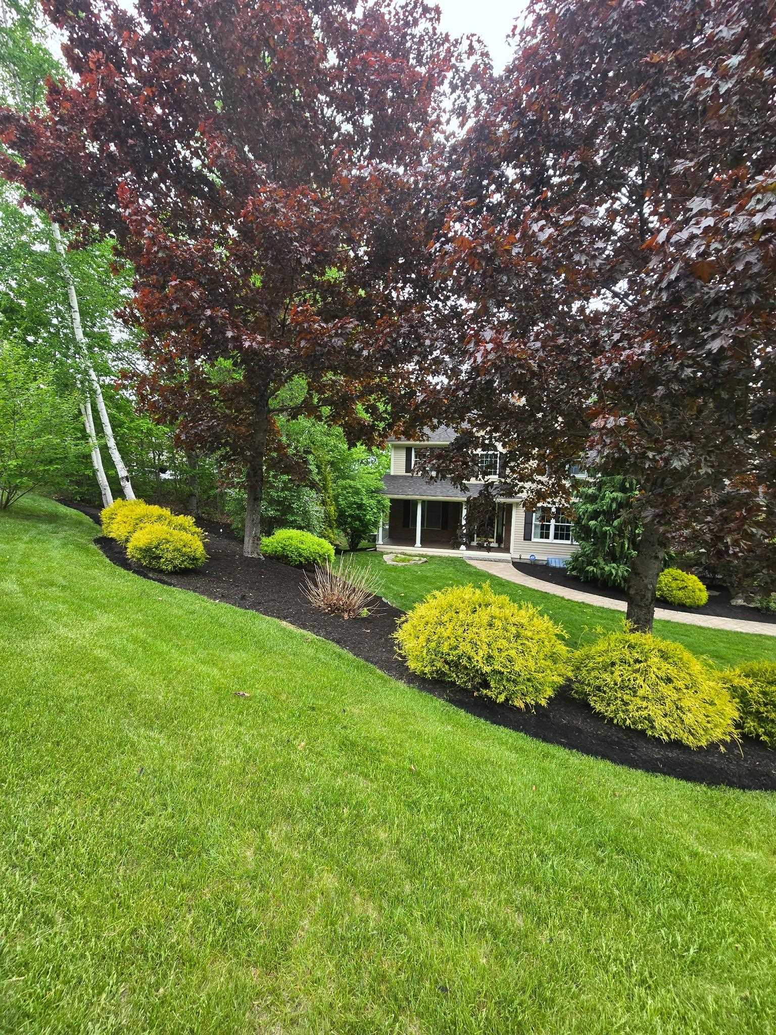 main property photo 49