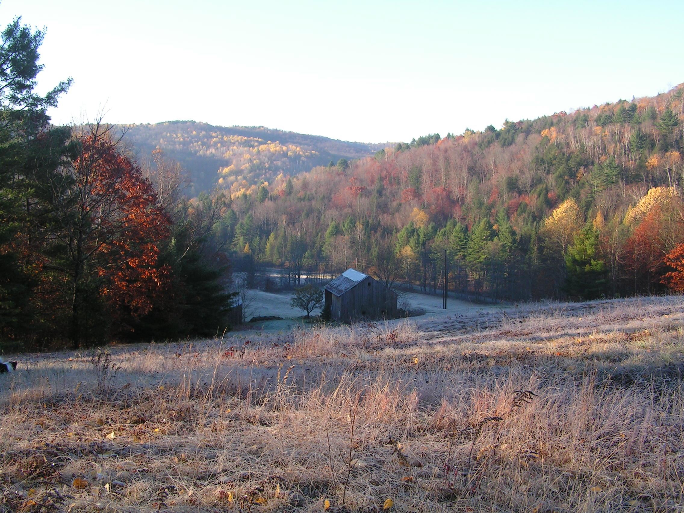 main property photo 42