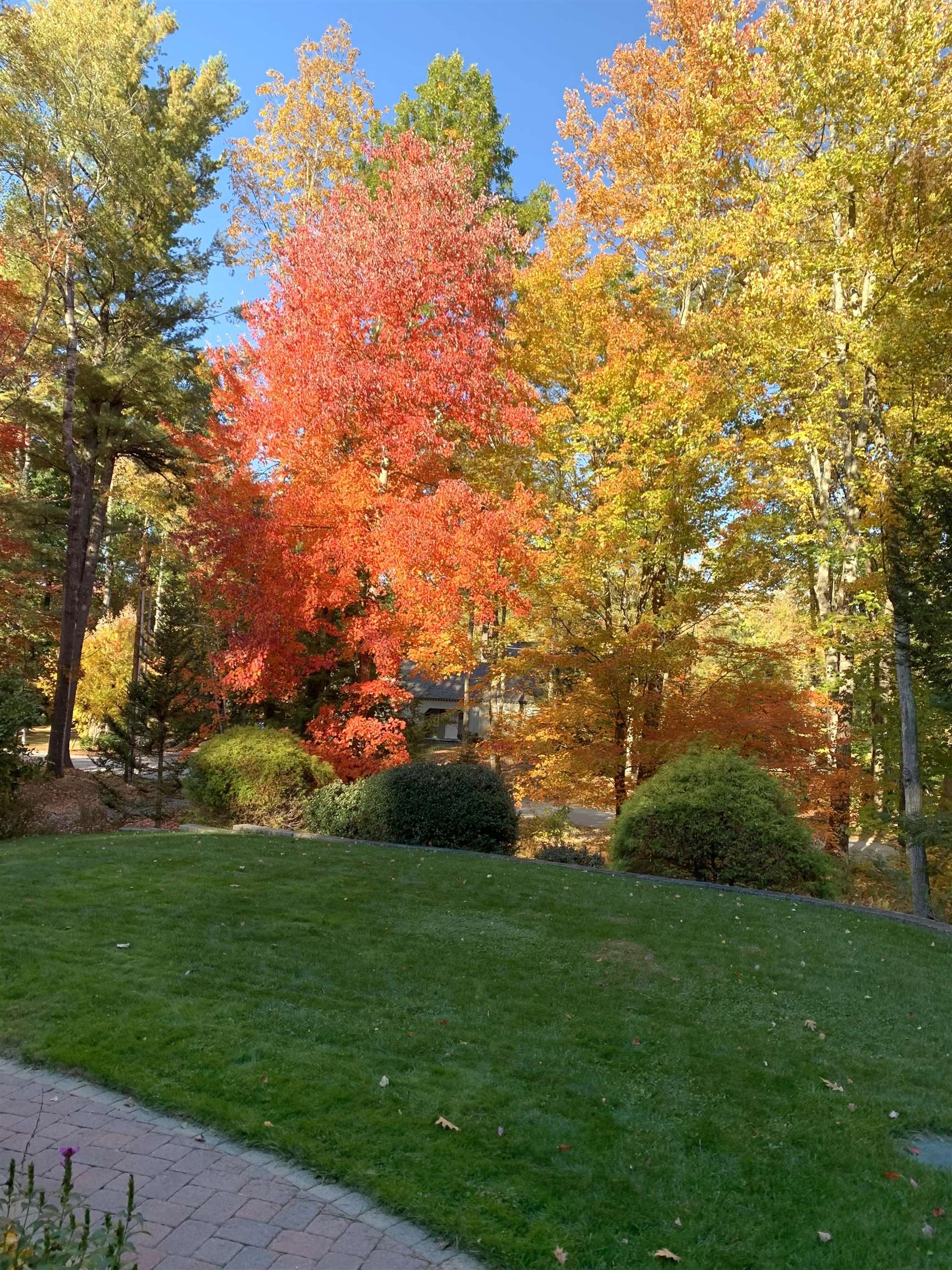 main property photo 51