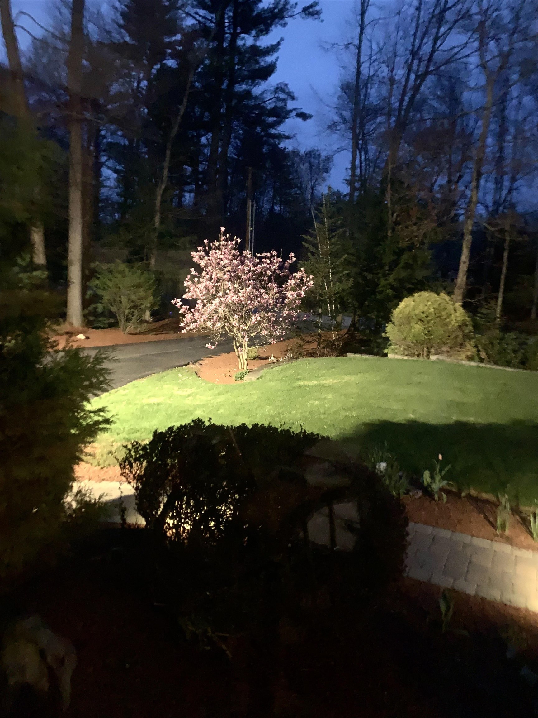 main property photo 52