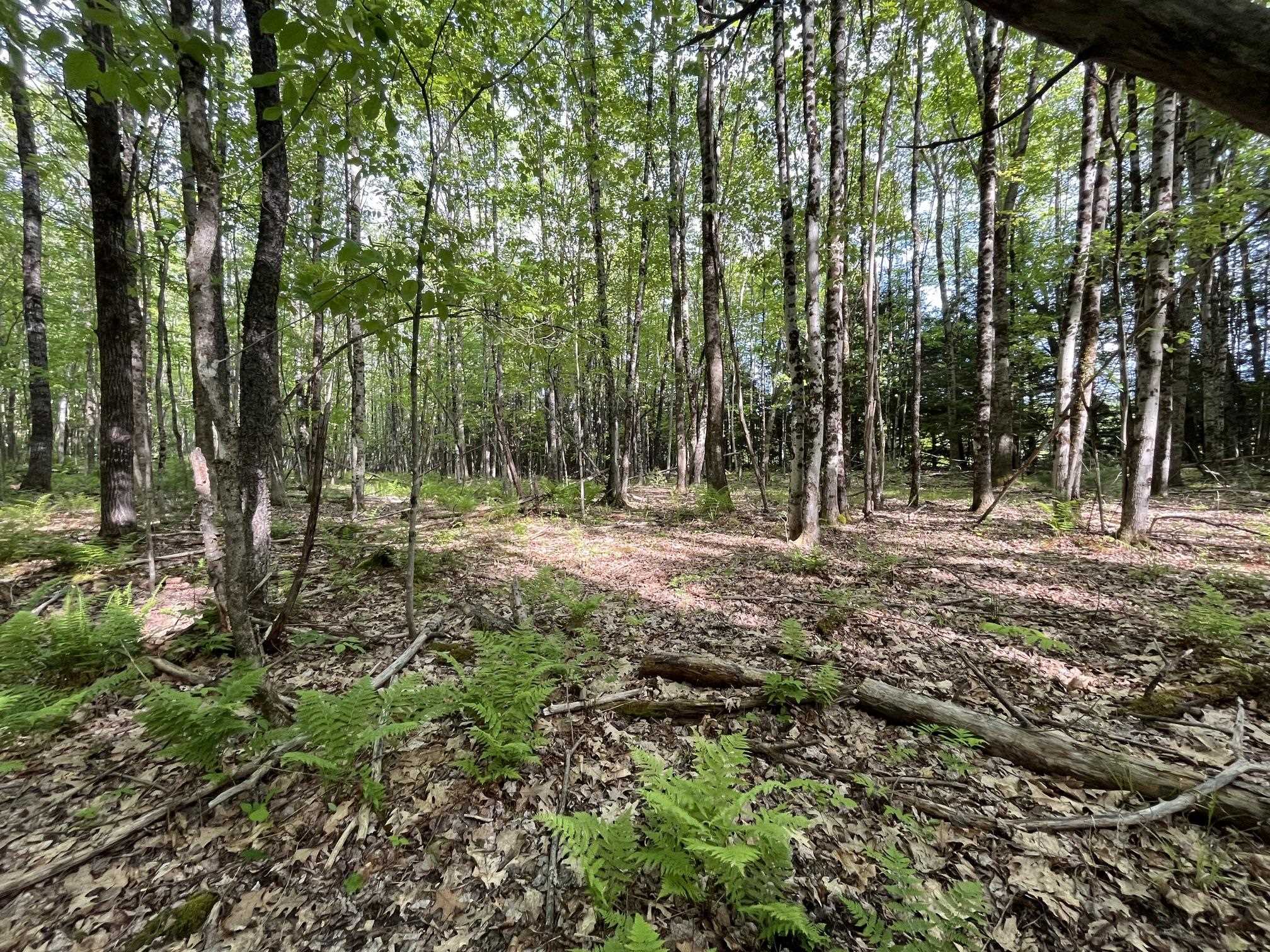 main property photo 16