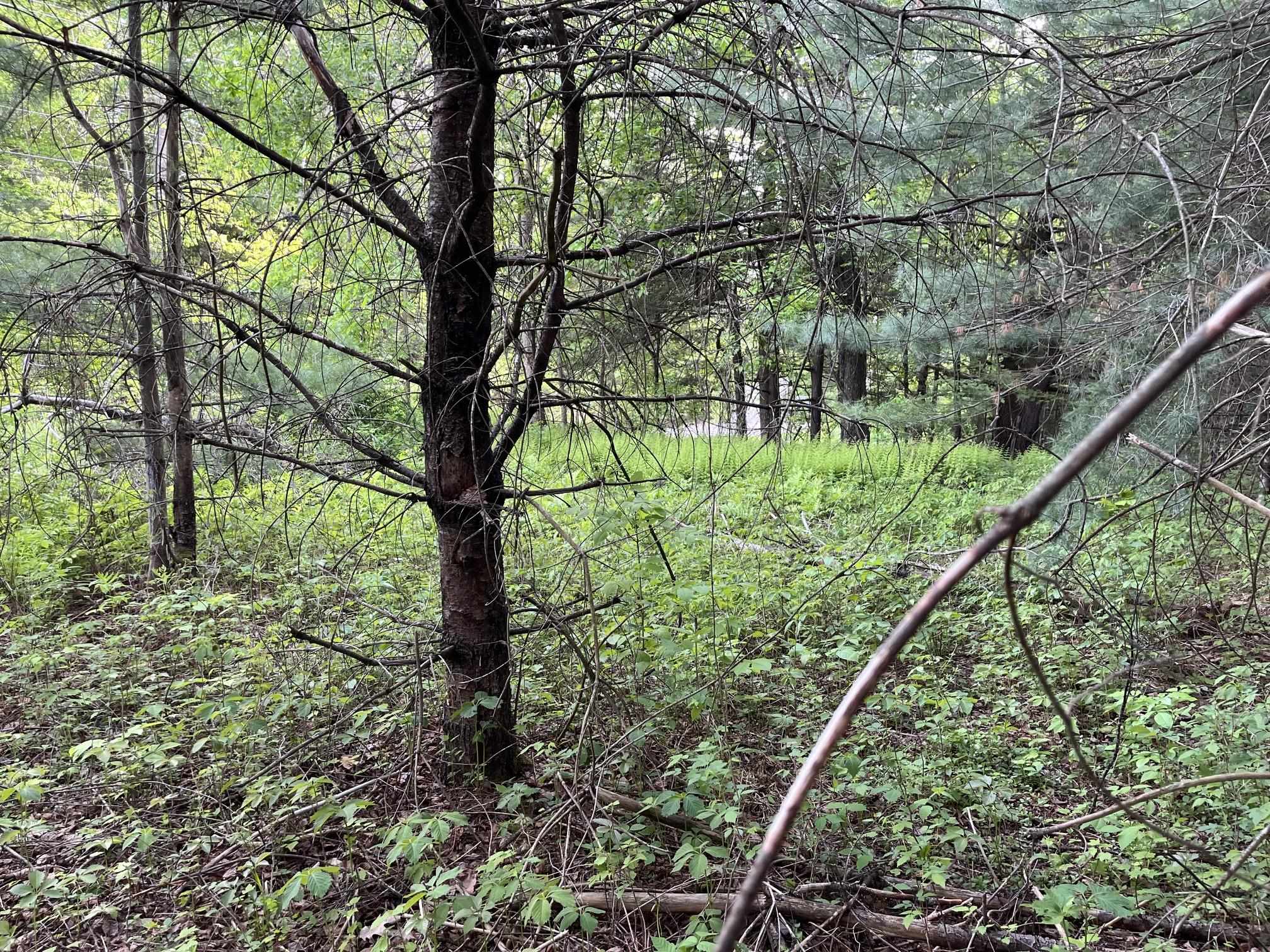 main property photo 19