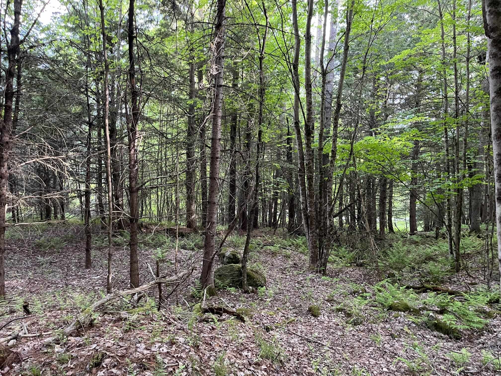 main property photo 23