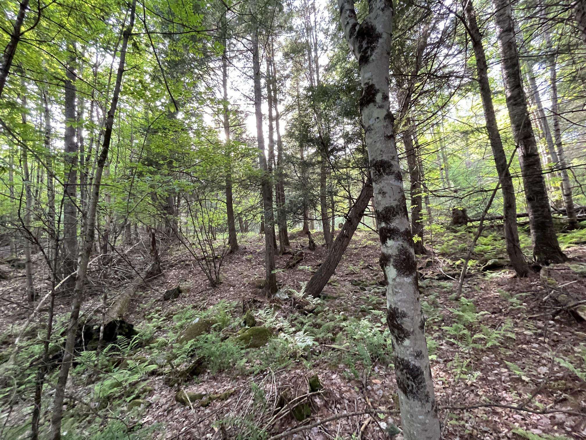 main property photo 24