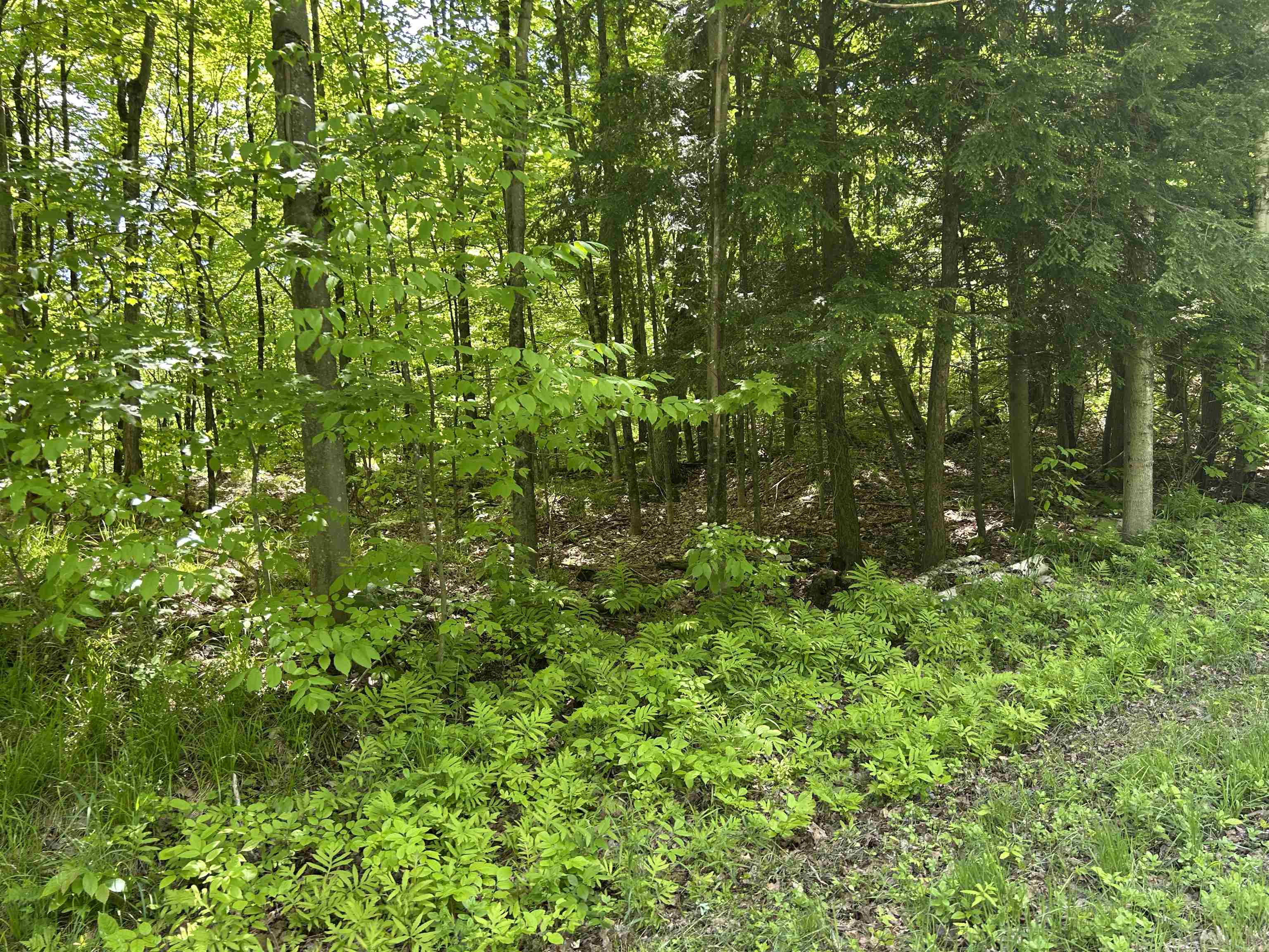 main property photo 13