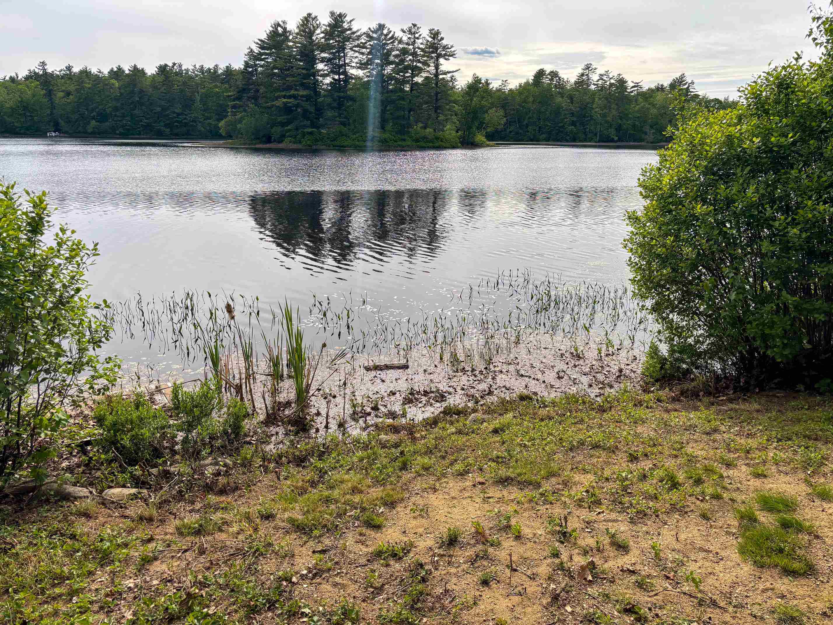 main property photo 42