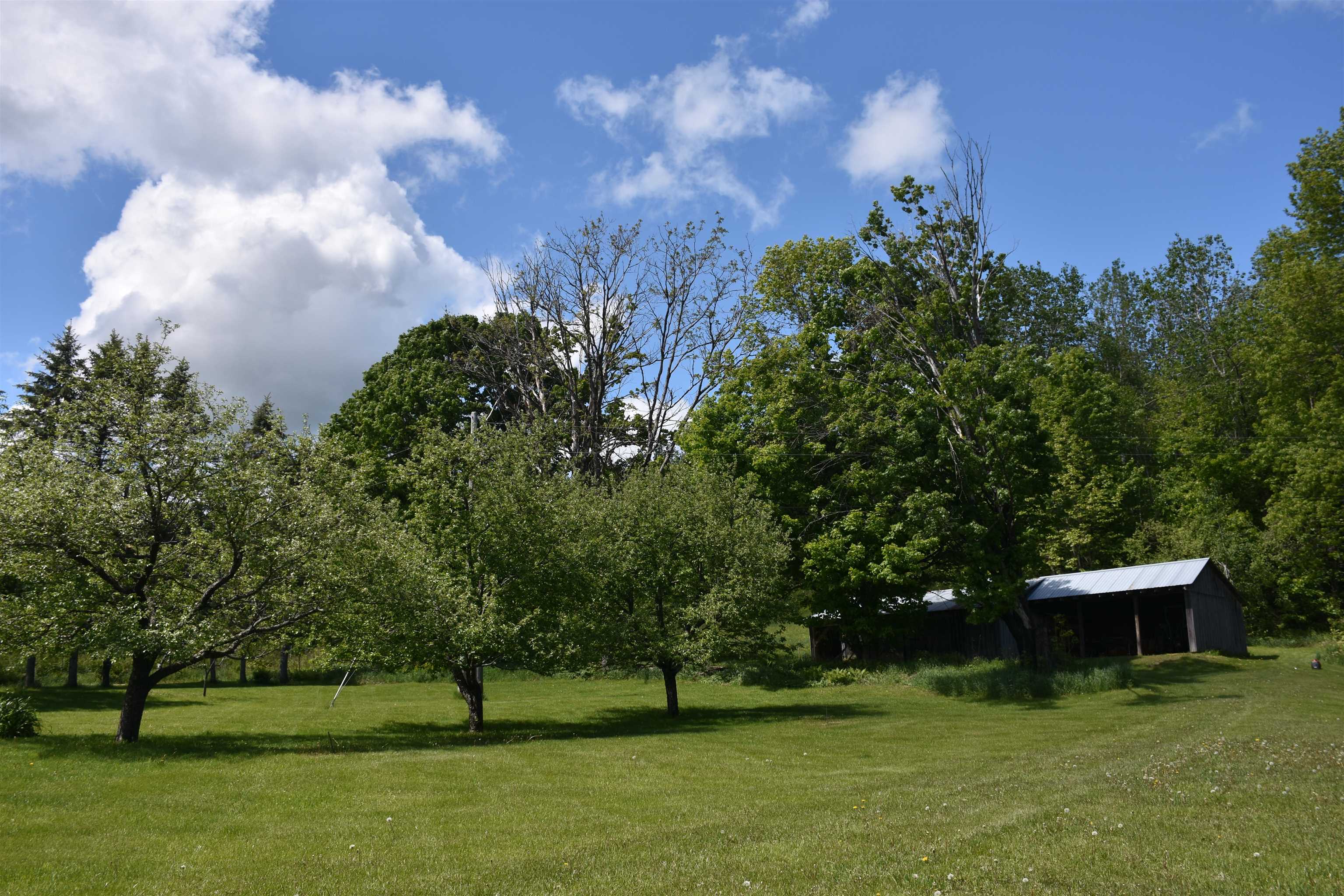 main property photo 35