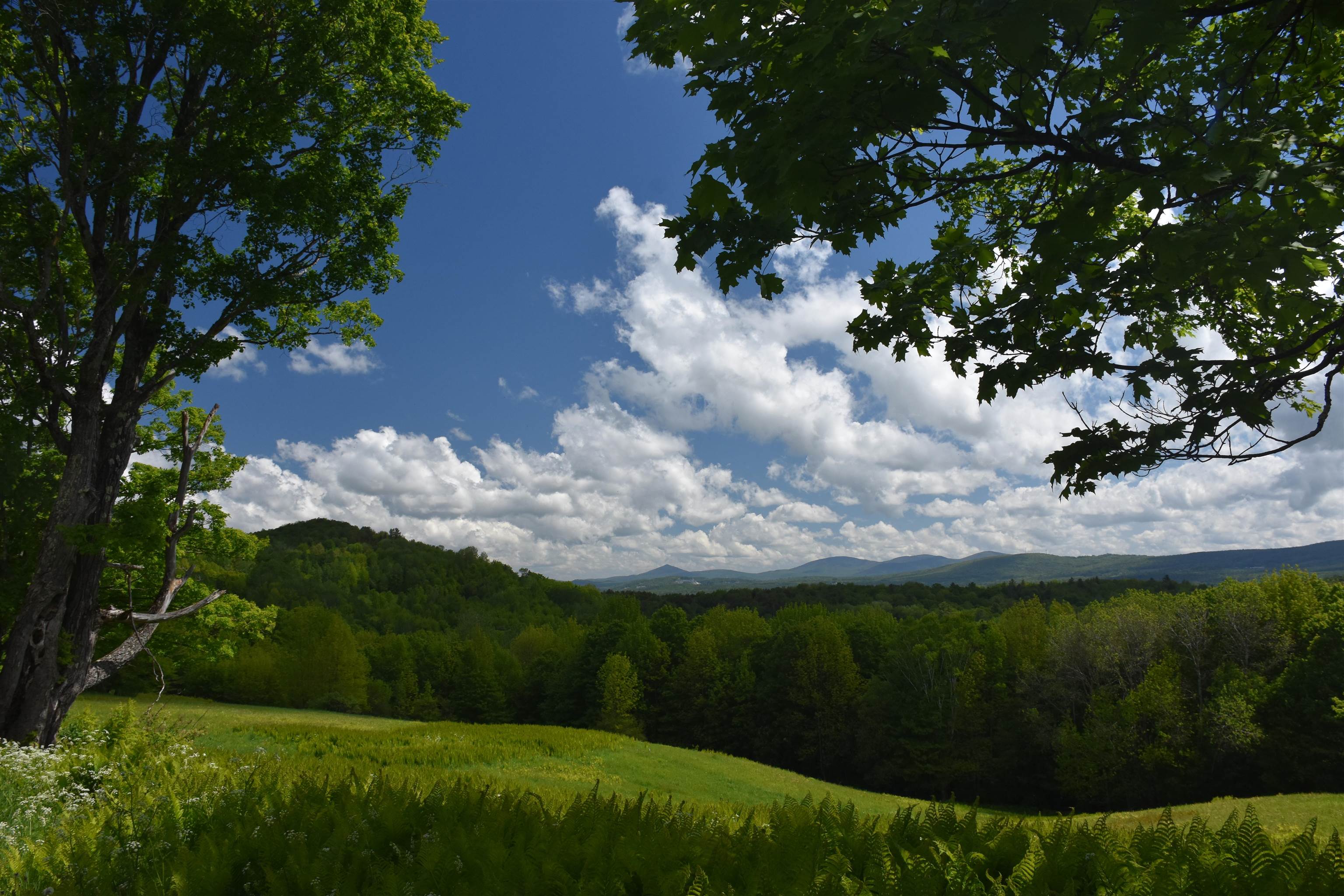 main property photo 56
