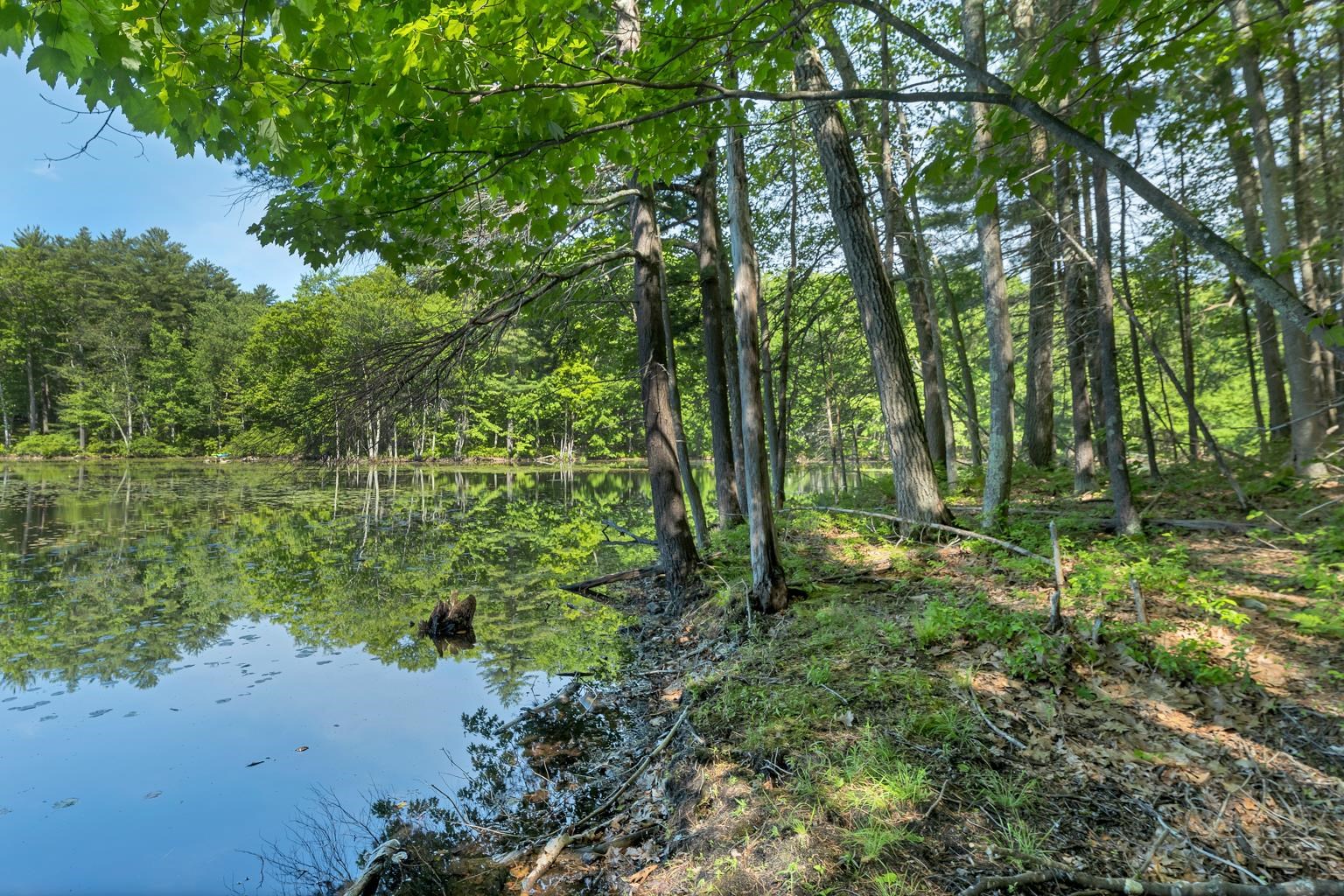 main property photo 14