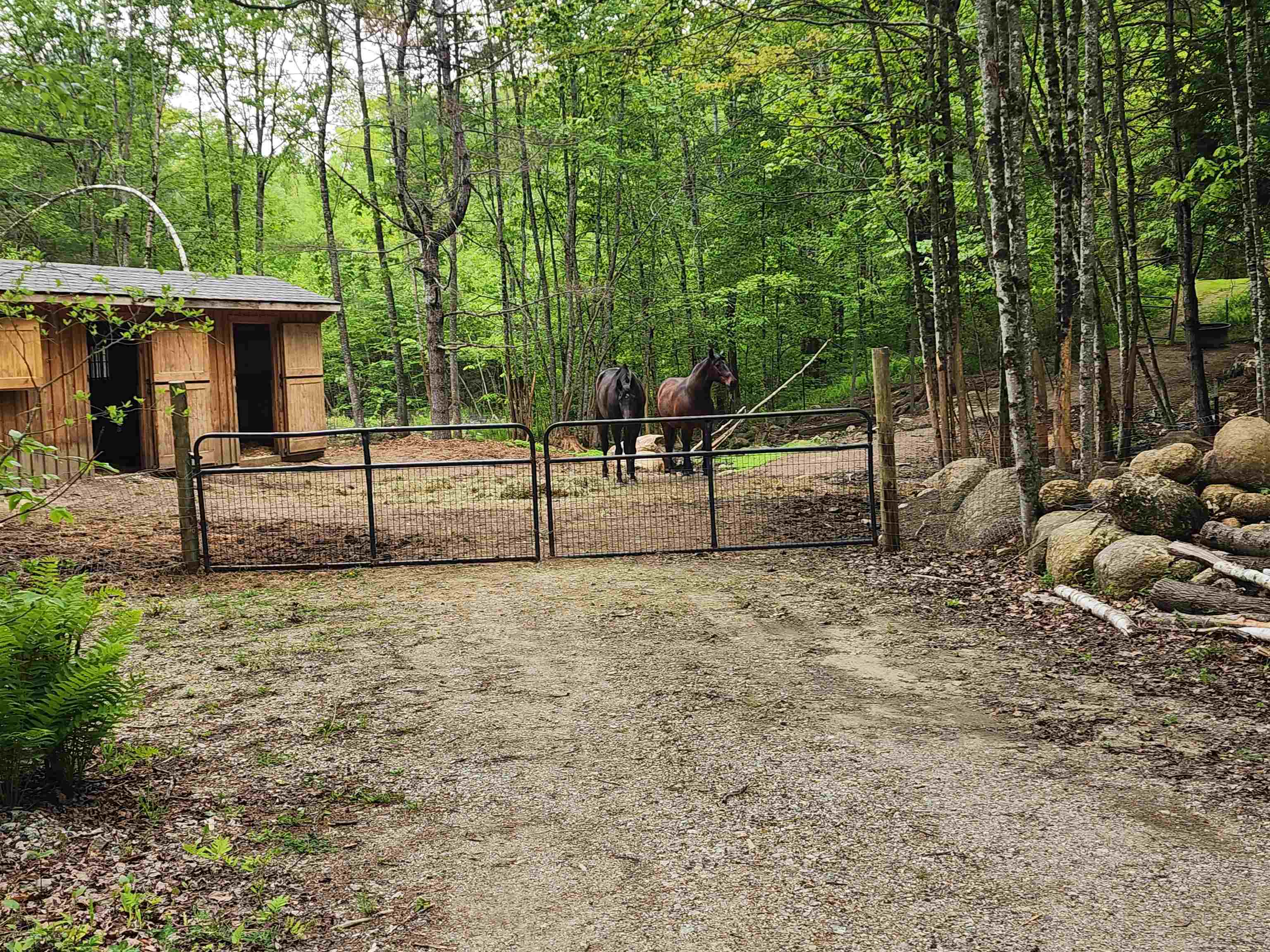 main property photo 47