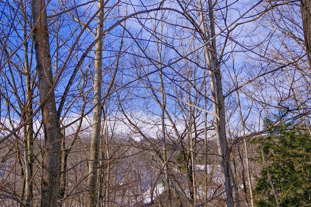 main property photo 52