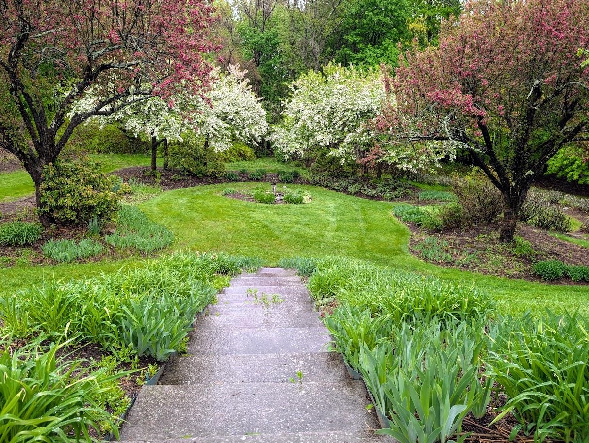 main property photo 11