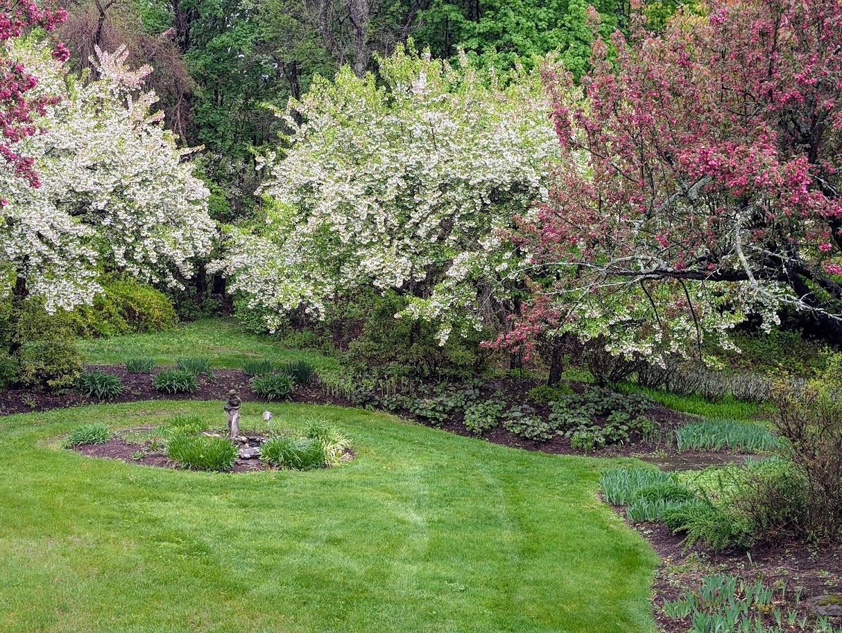main property photo 12