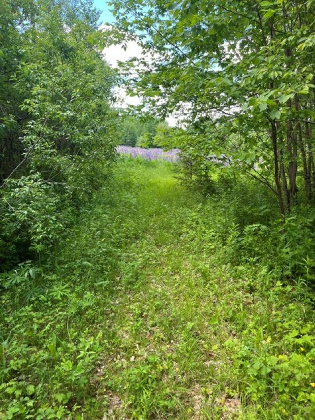 main property photo 51