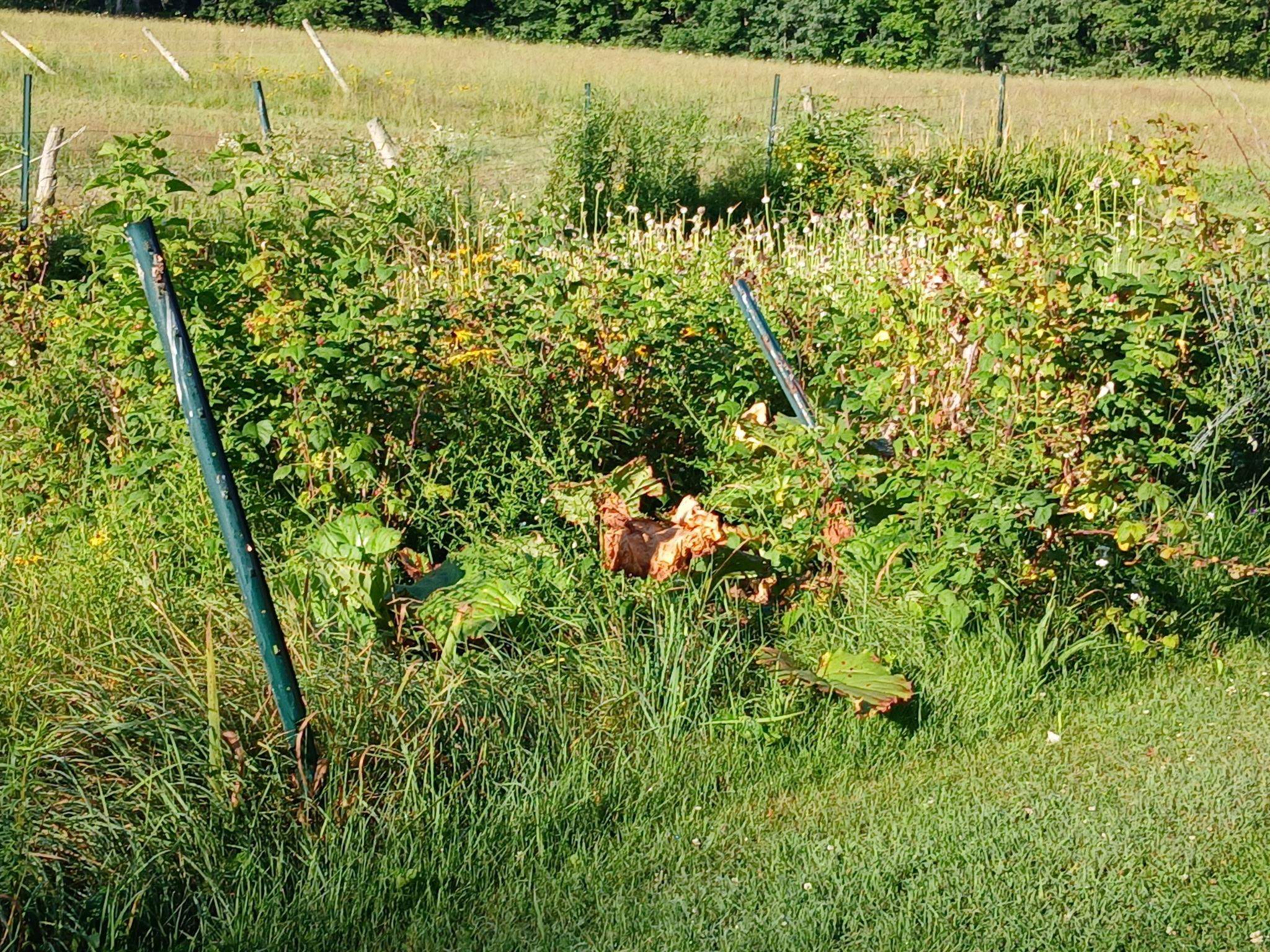 main property photo 51