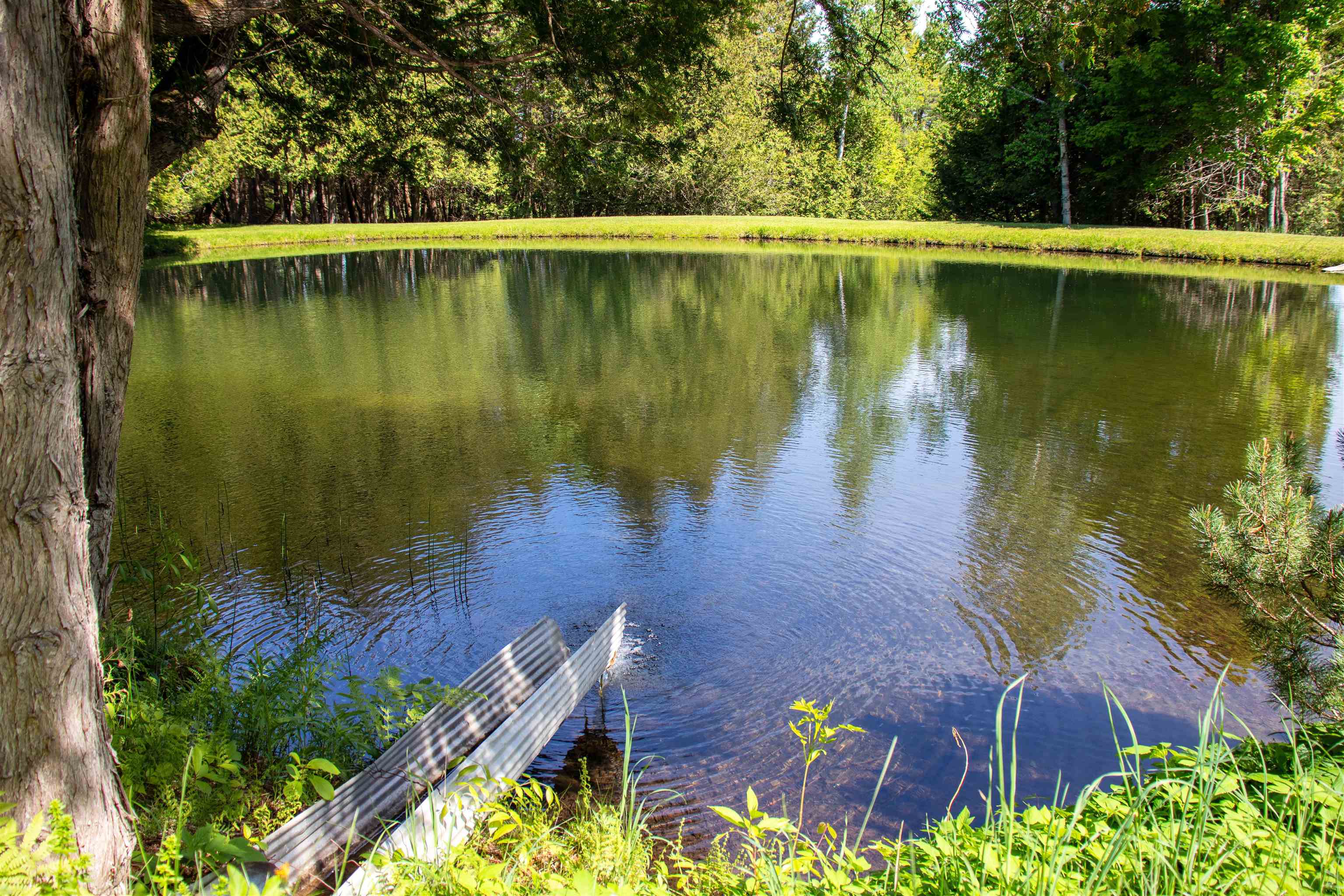 main property photo 47