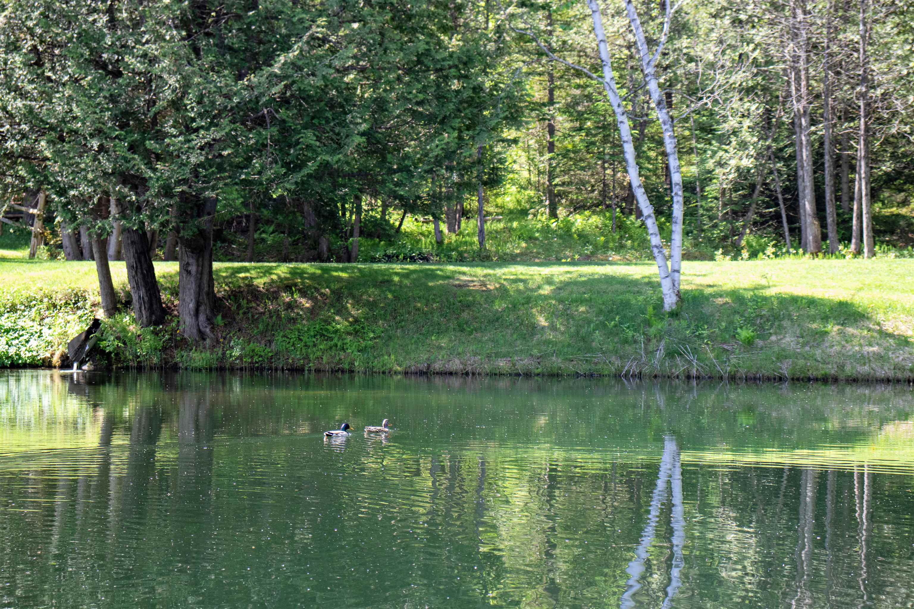 main property photo 50