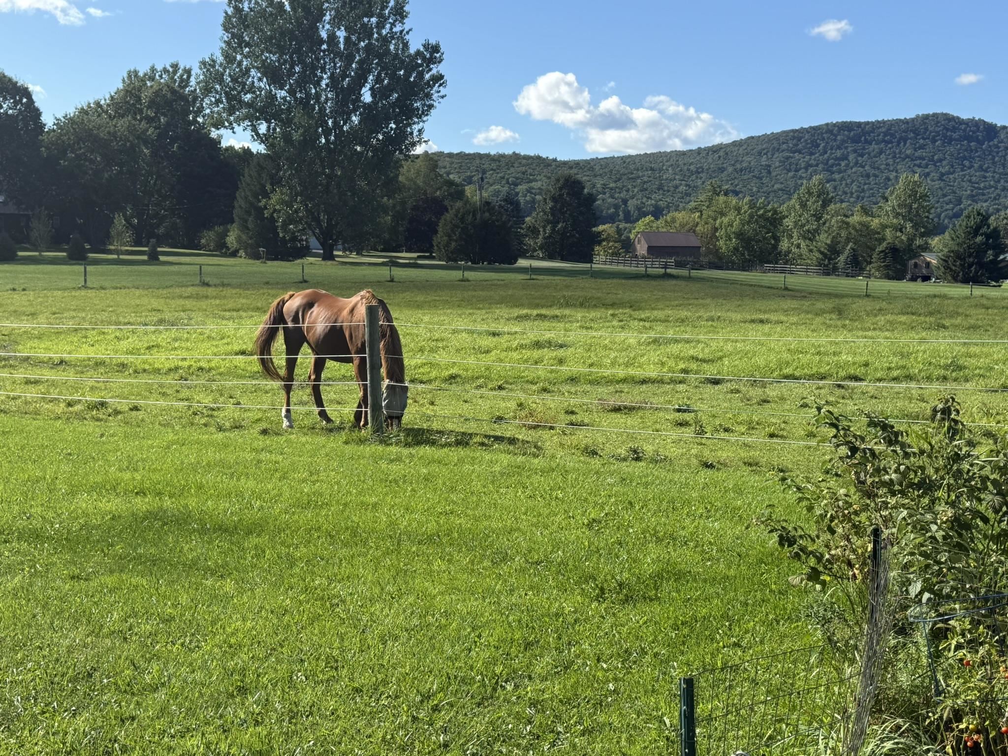 main property photo 53