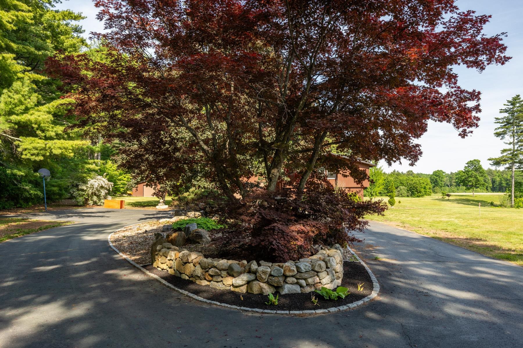 main property photo 48