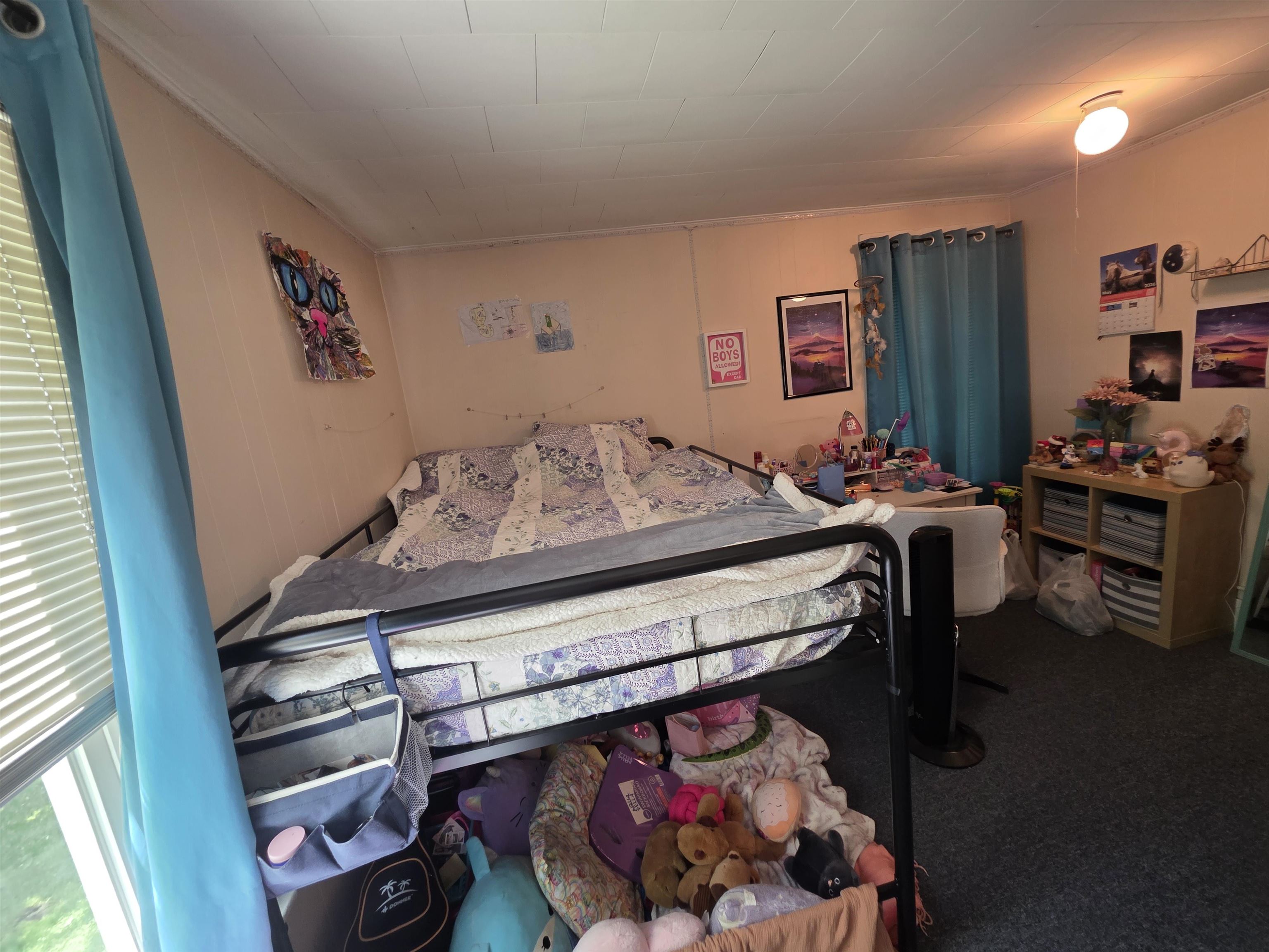 main property photo 13
