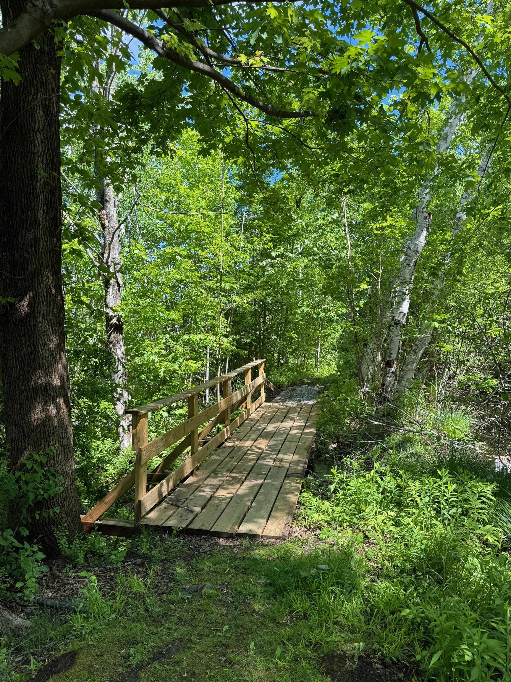 main property photo 44