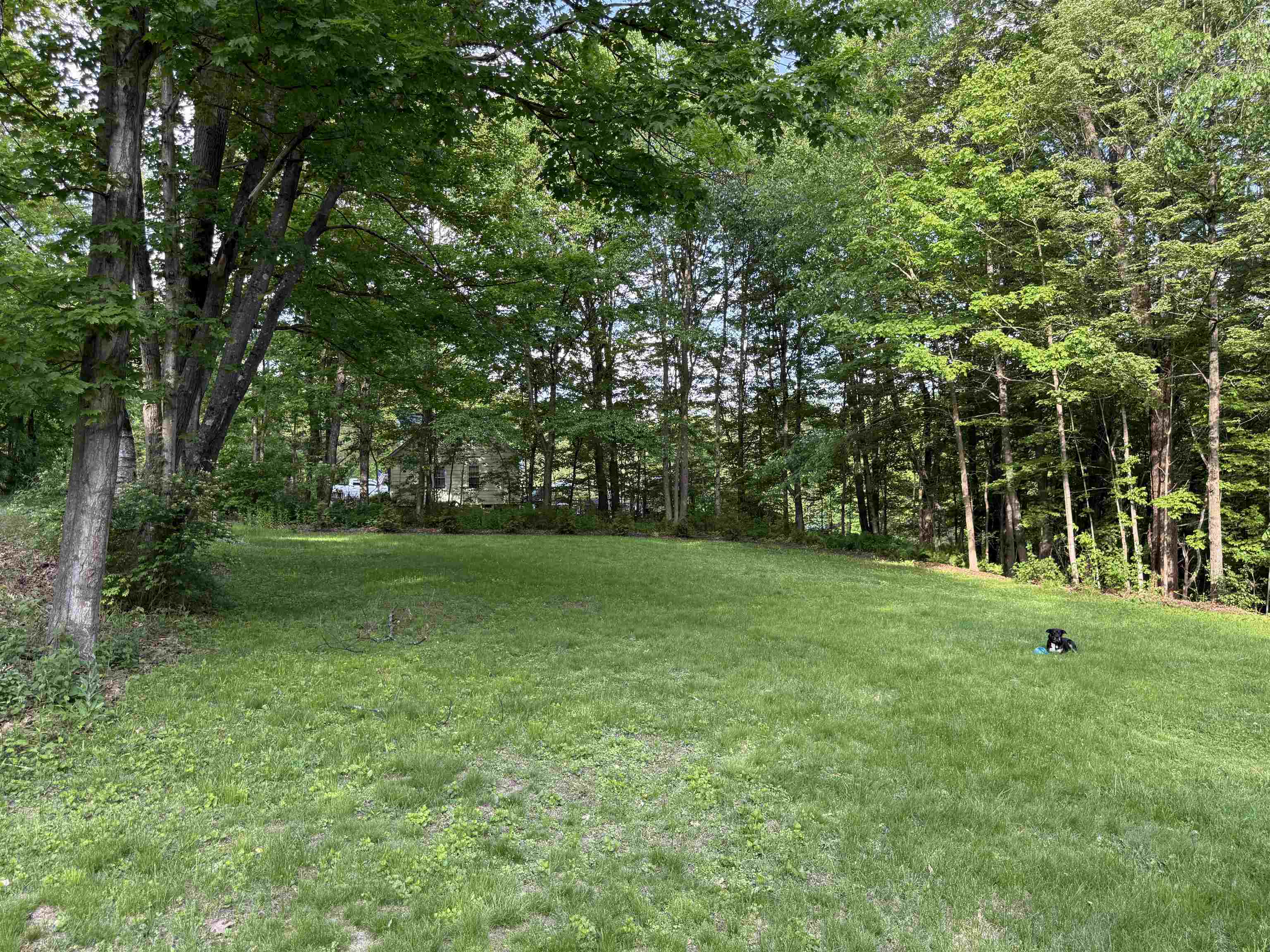 main property photo 18