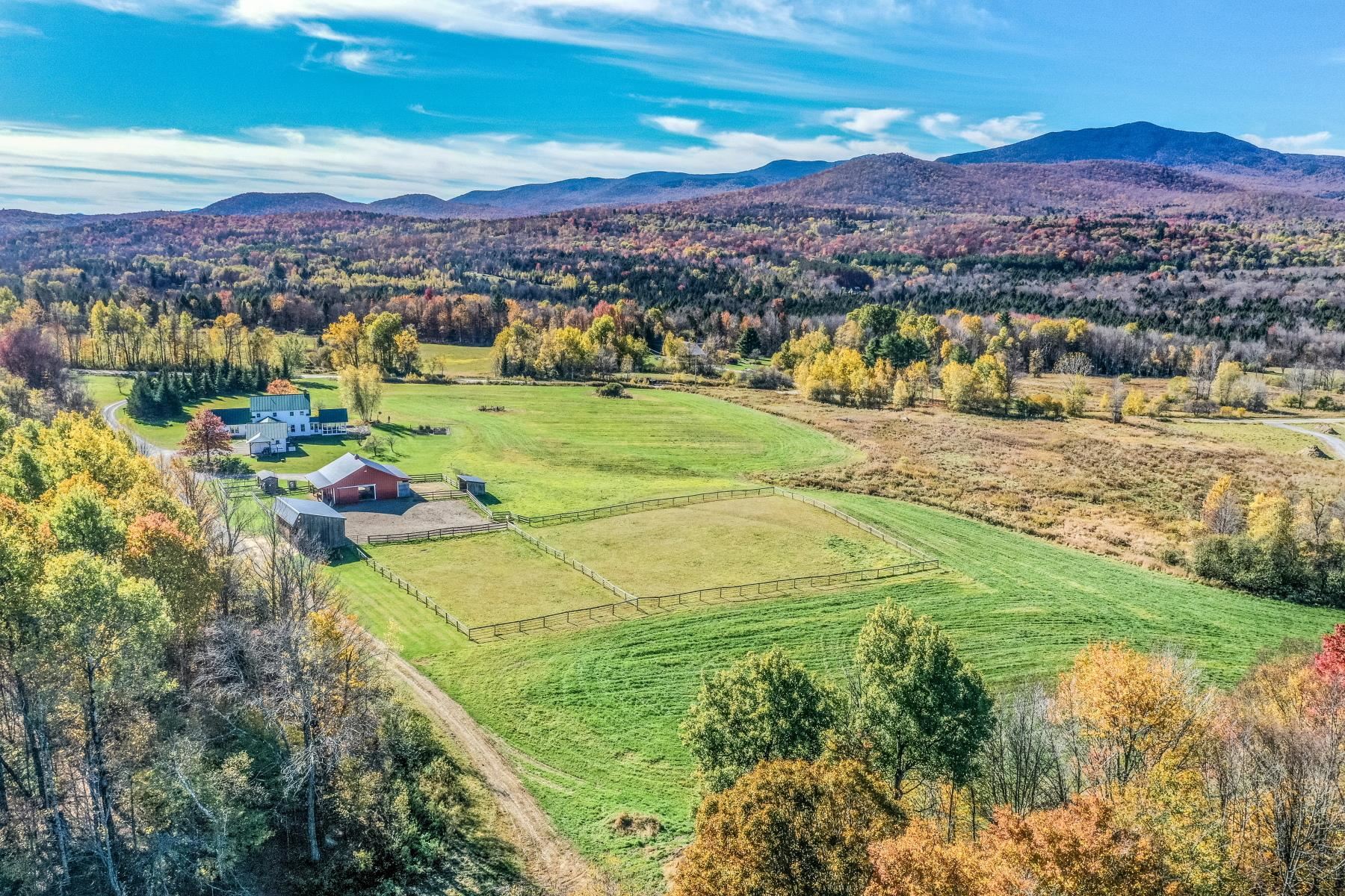 main property photo 53
