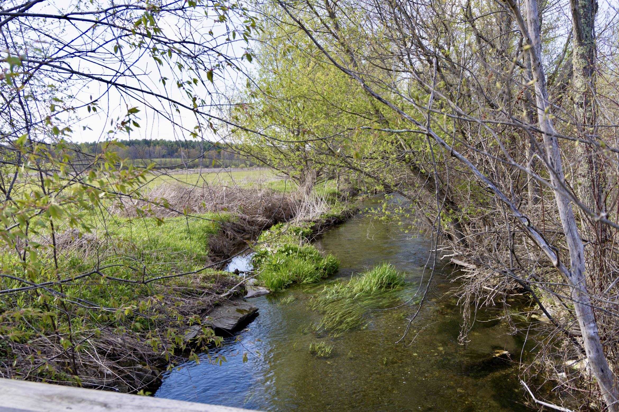 main property photo 52