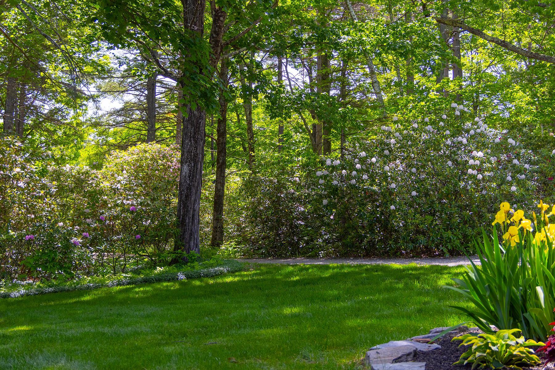 main property photo 53