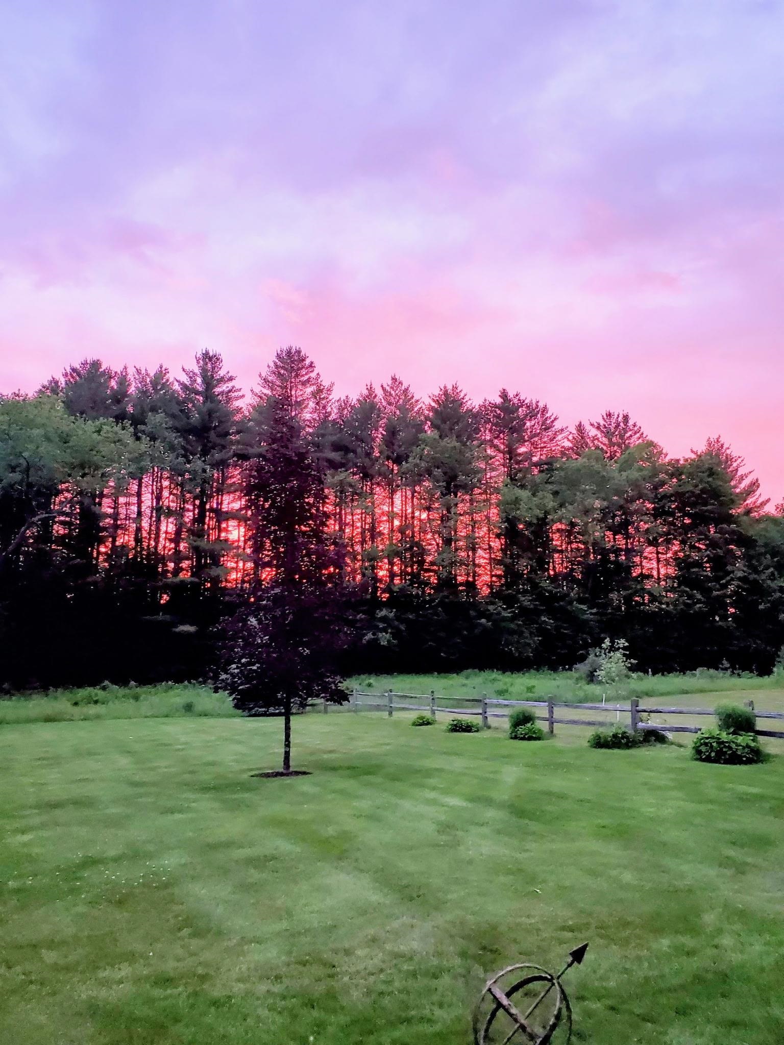 main property photo 58