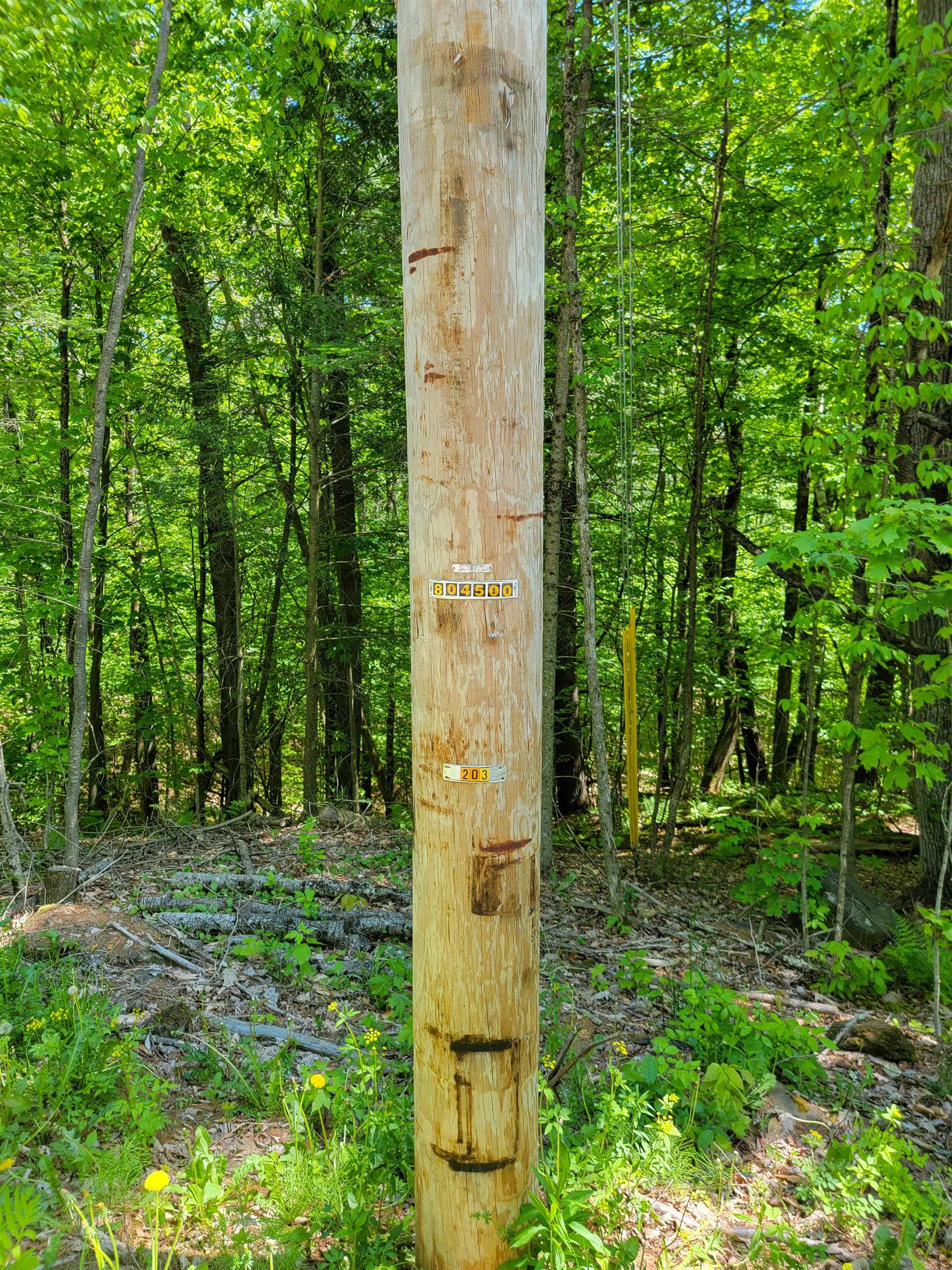 main property photo 58
